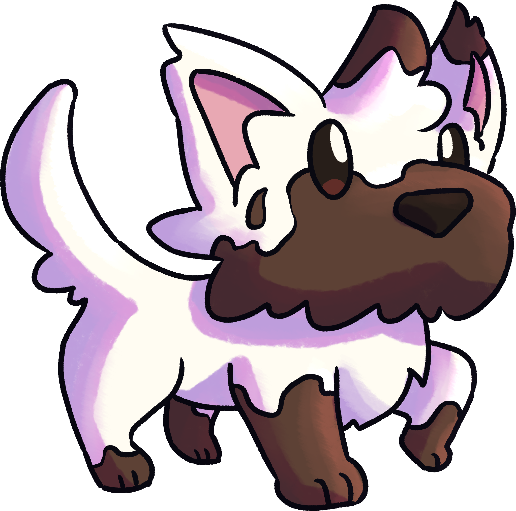 mudipupi-shaded.png