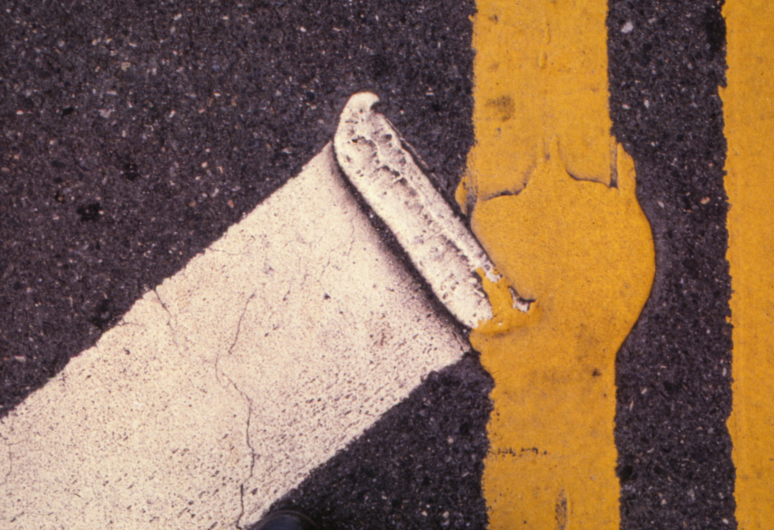 untitled, 1981