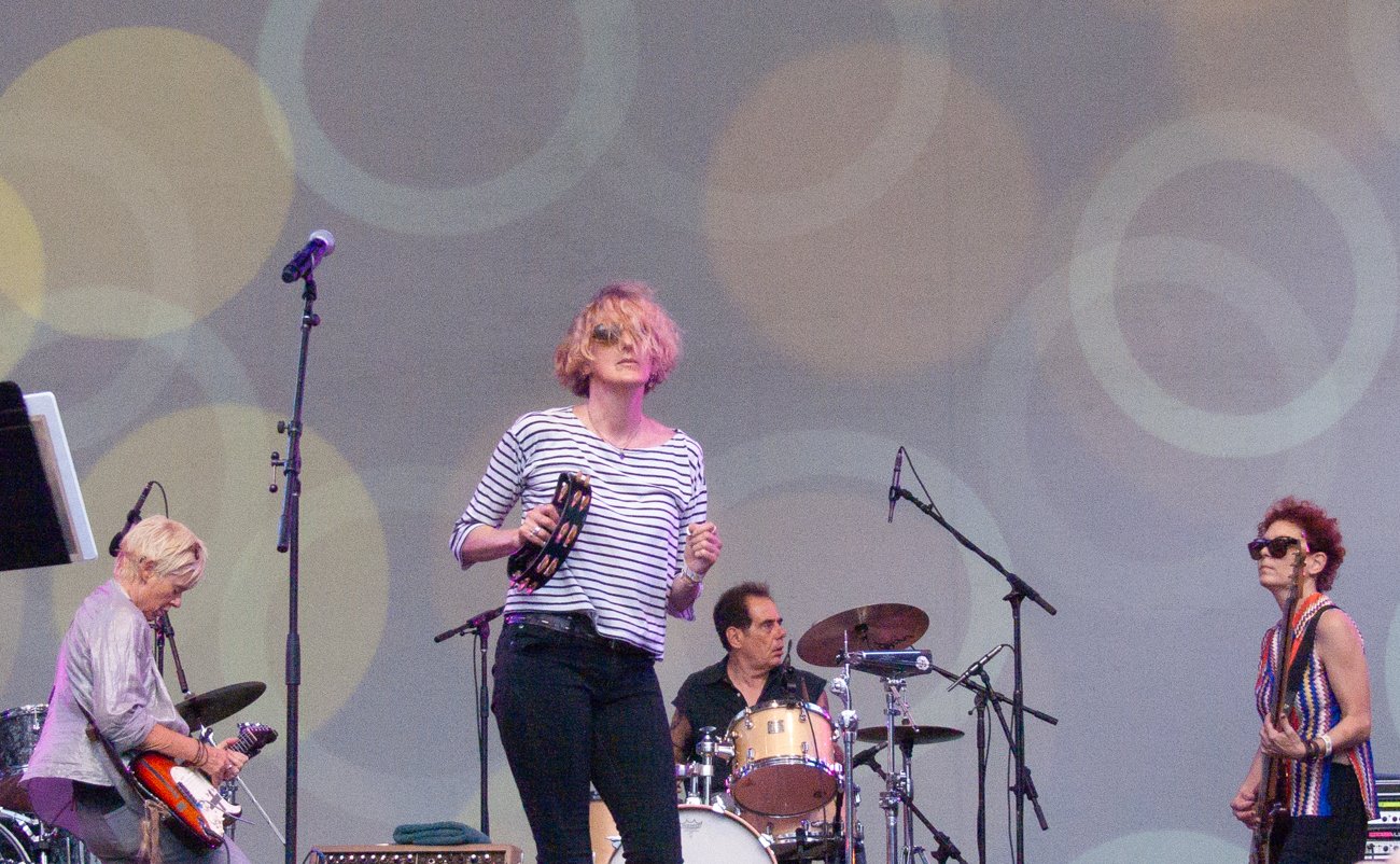 Bush Tetras, 2016