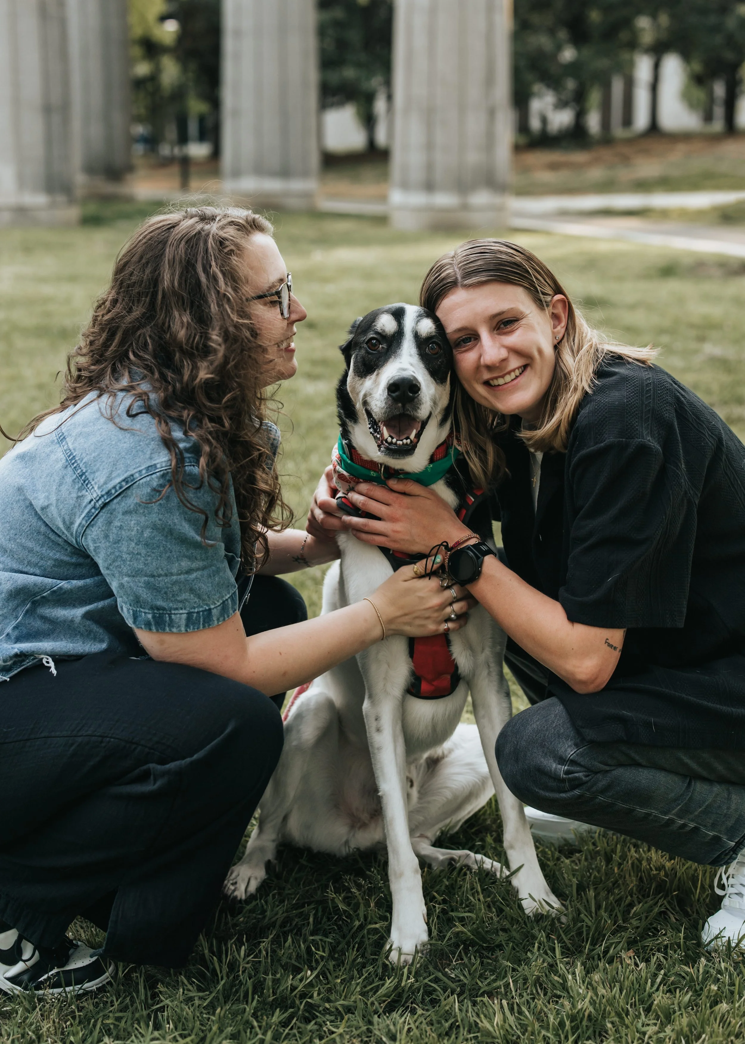  Maddie, Sarah, and their dog Bear at Bicentennial Park during their engagement photoshoot. 