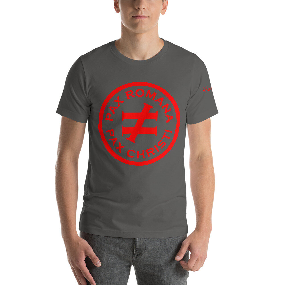unisex-staple-t-shirt-asphalt-front-6165d82ebd7e1.jpg