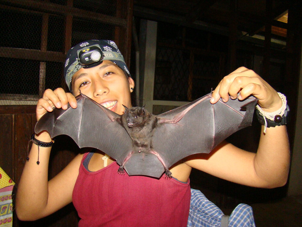 simbólico Profeta Extranjero Holy biodiversity! Bat biologist Kathrin Barboza discusses protecting  Bolivia's nocturnal flyers — Assembly | Malala Fund