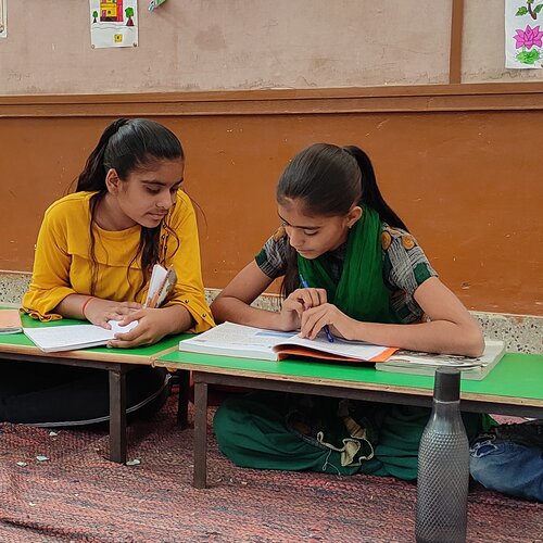 Investigating the digital learning gap for girls in northern India