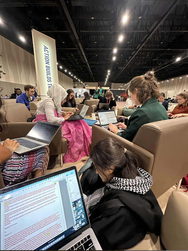 Go behind the scenes of COP28 in Dubai with climate activists ...