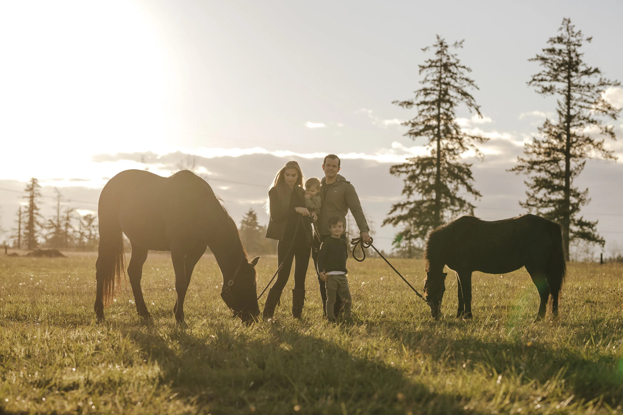 About 5 — THE IRON HORSE FARM