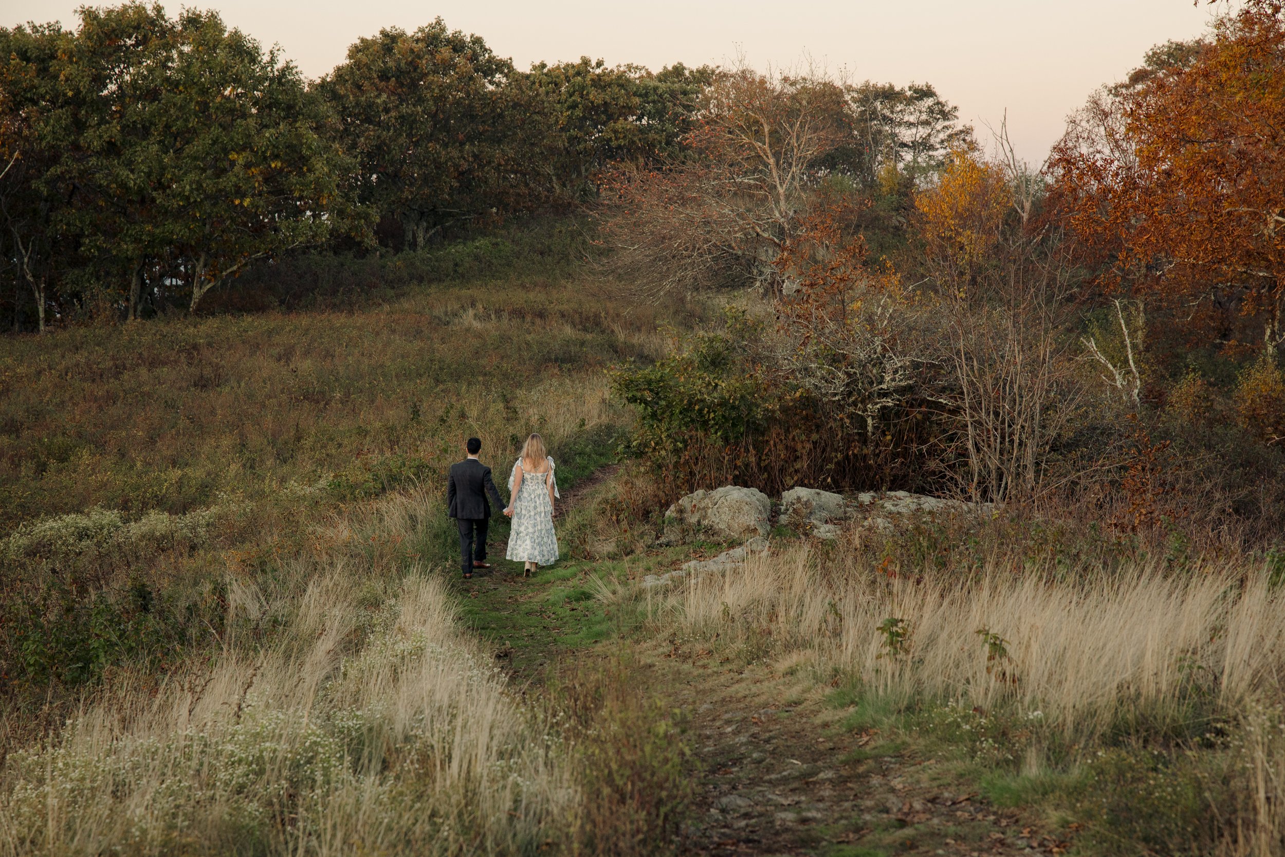 virginia-wedding-mountain-engagement-photo-session-59.jpg