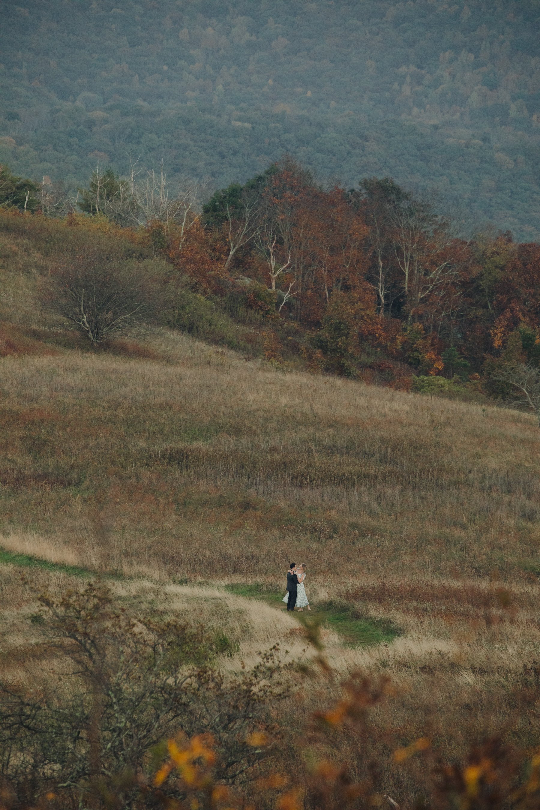 virginia-wedding-mountain-engagement-photo-session-62.jpg