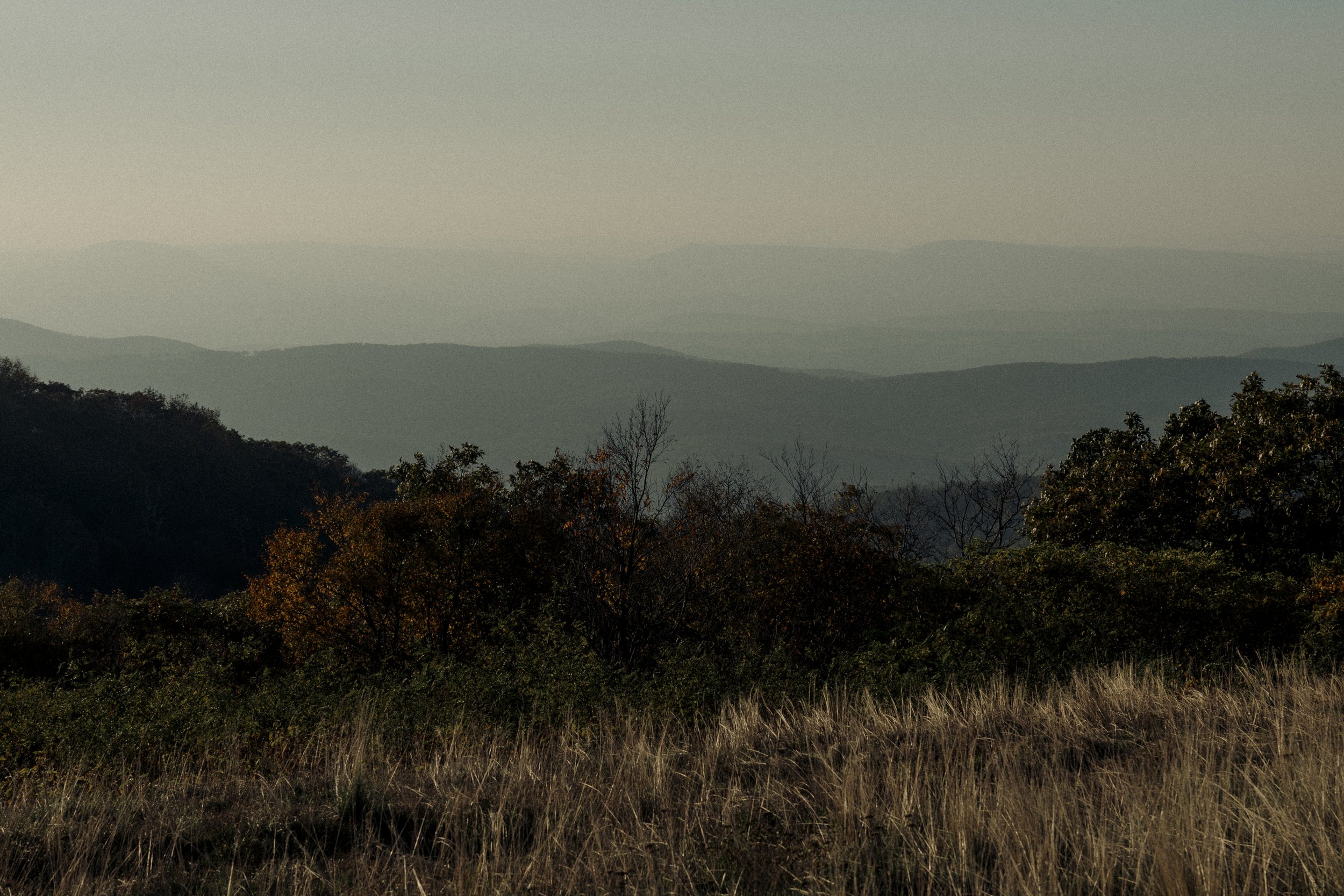 virginia-wedding-mountain-engagement-photo-session-8.jpg