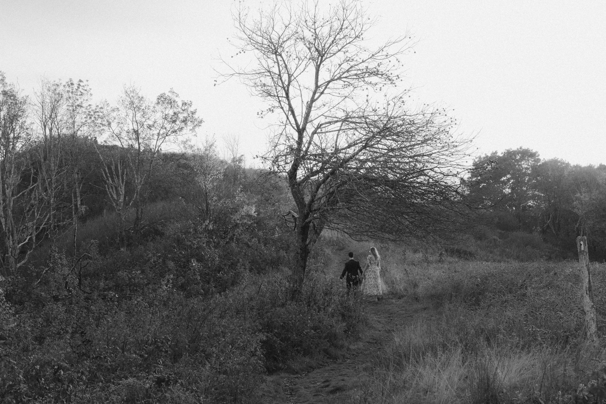 virginia-wedding-mountain-engagement-photo-session-47.jpg