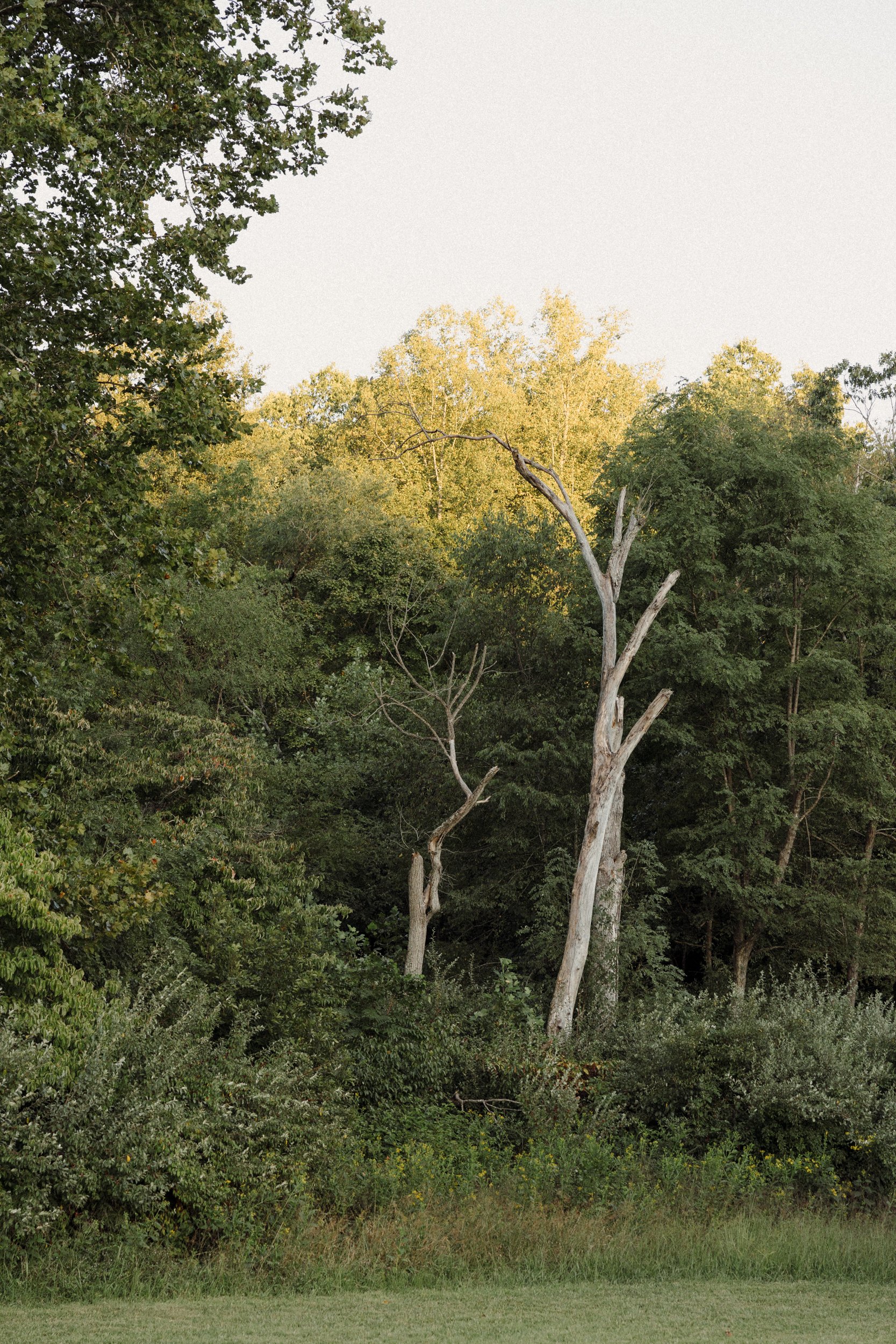 virginia-mountain-wedding-balcony-downs-74.jpg