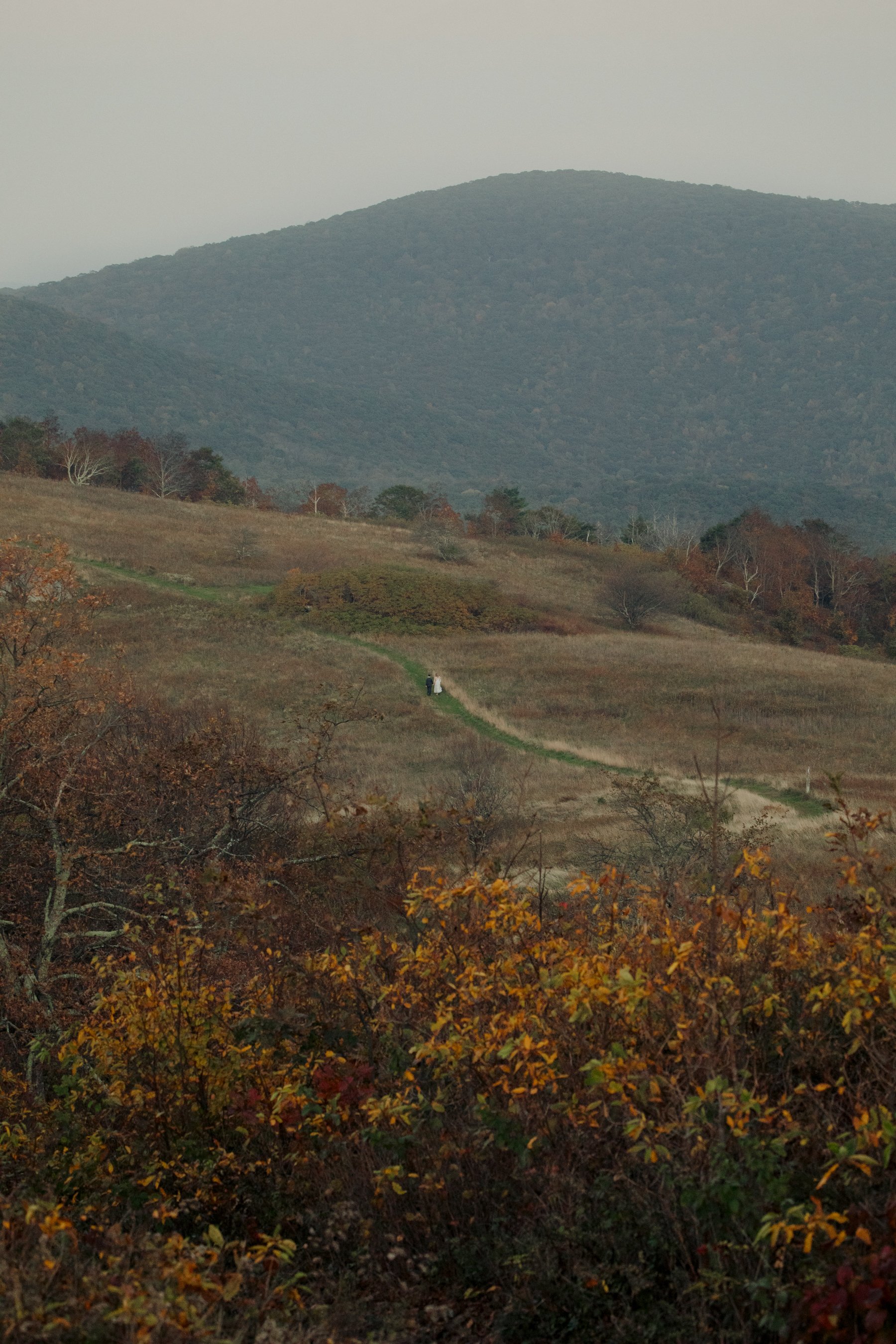 virginia-wedding-mountain-engagement-photo-session-65.jpg