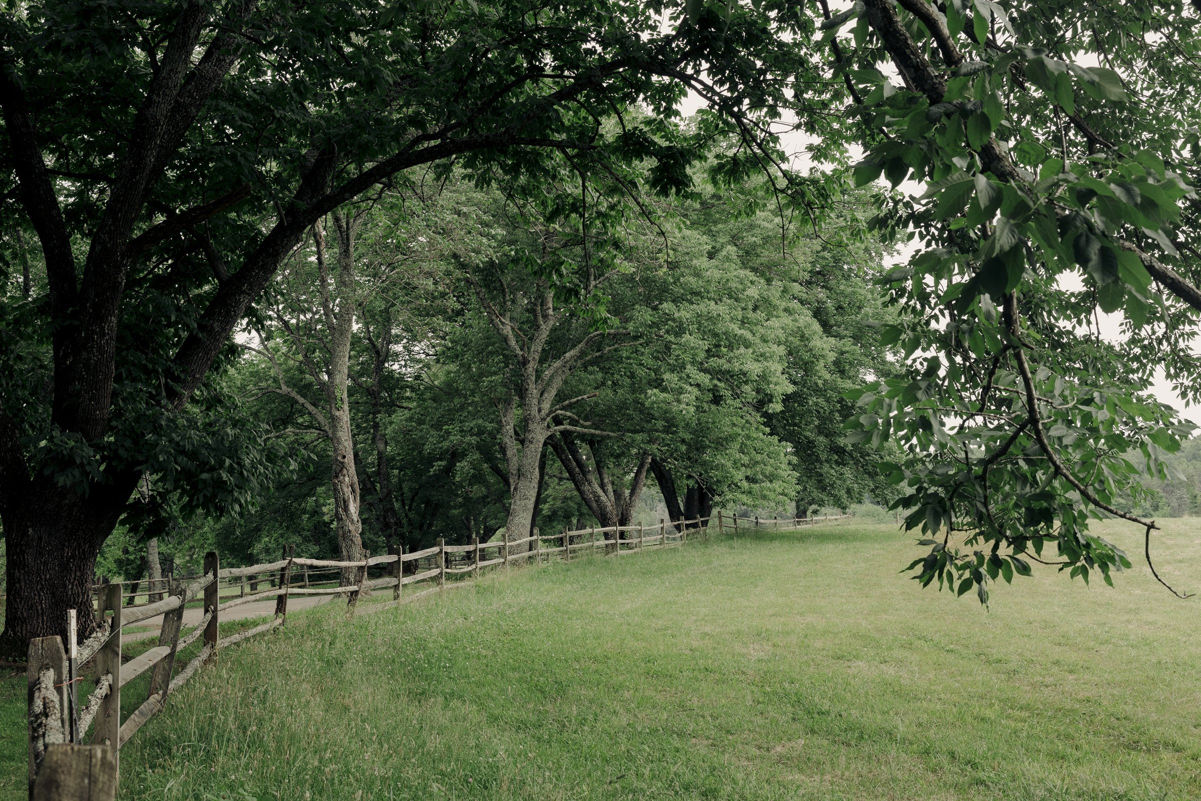 james-monroe-highlands-beautiful-wedding-124.jpg