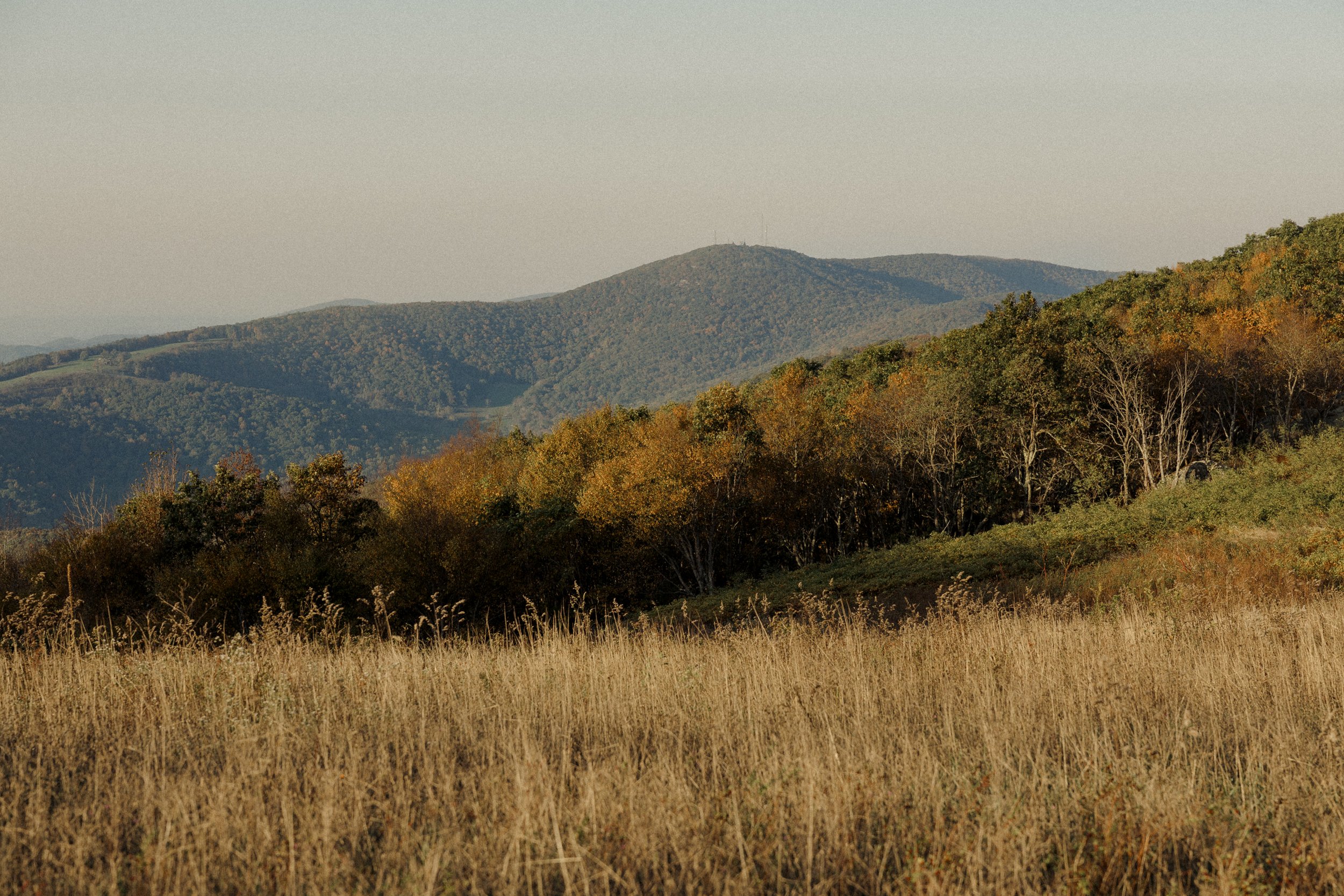 virginia-wedding-mountain-engagement-photo-session-6.jpg