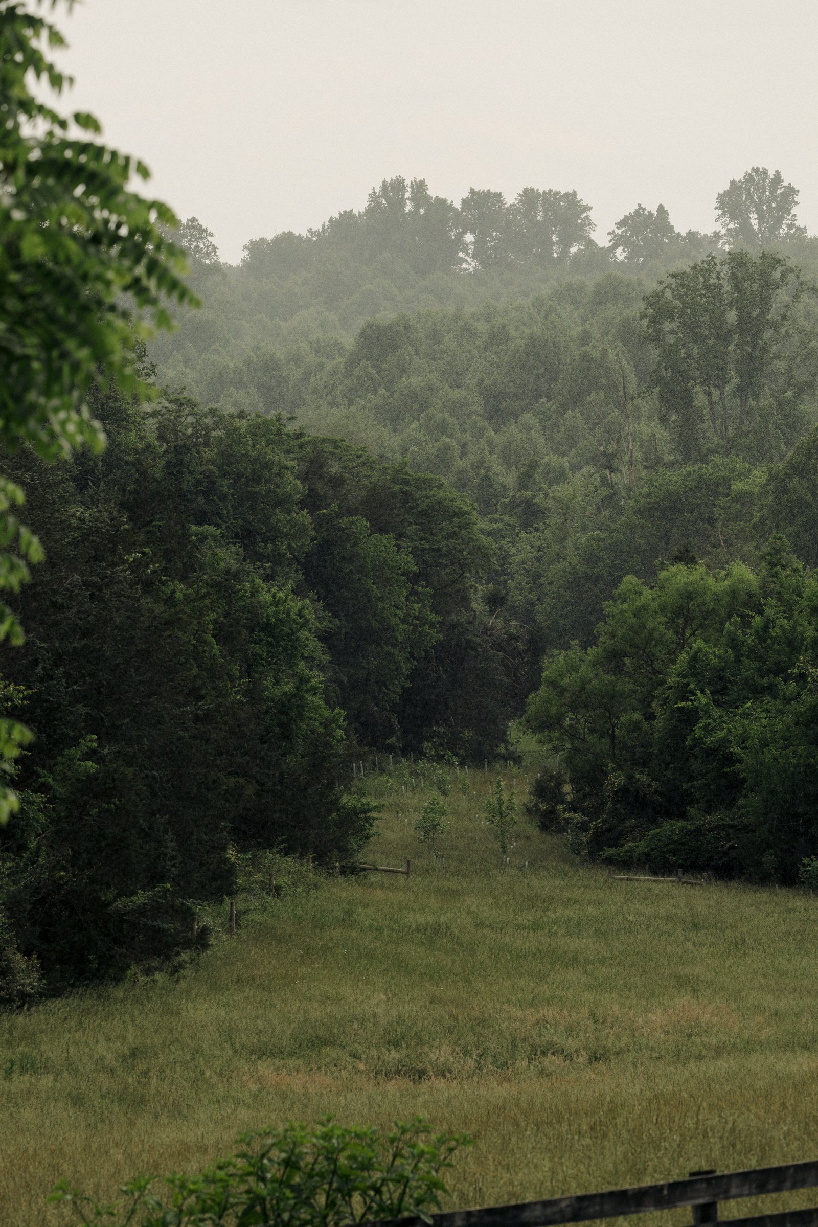 james-monroe-highlands-beautiful-wedding-40.jpg