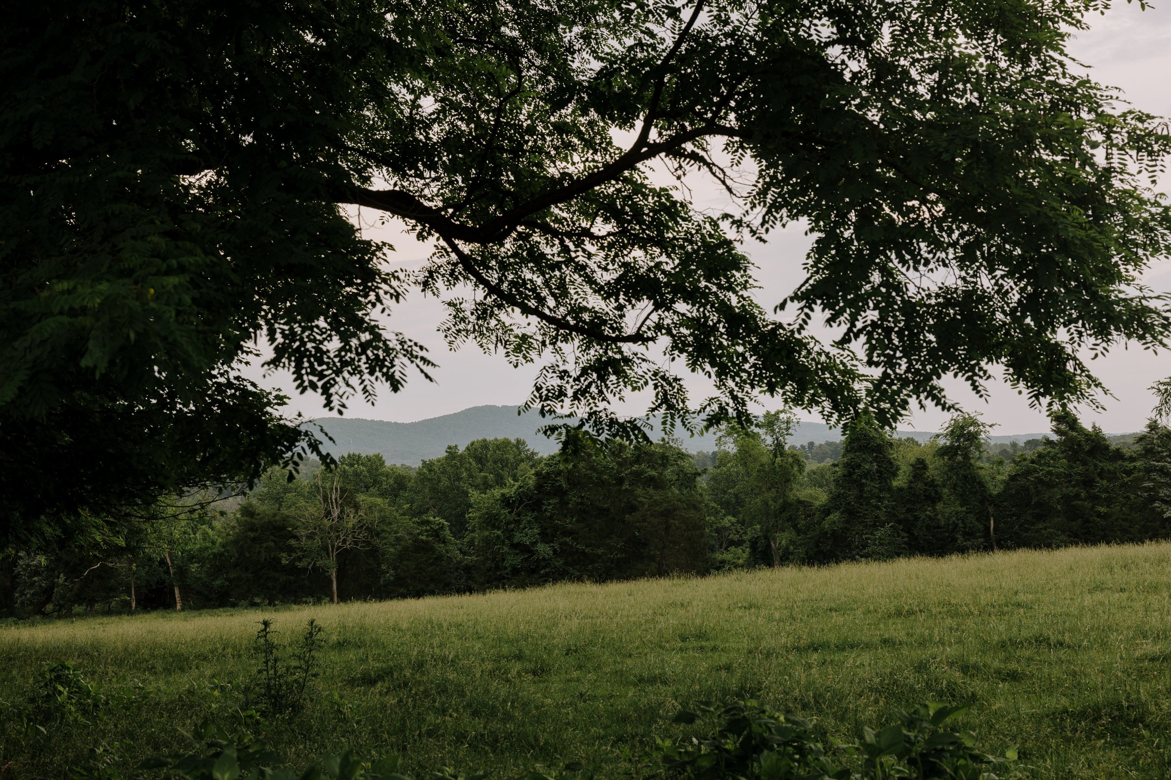 james-monroe-highlands-beautiful-wedding-164.jpg