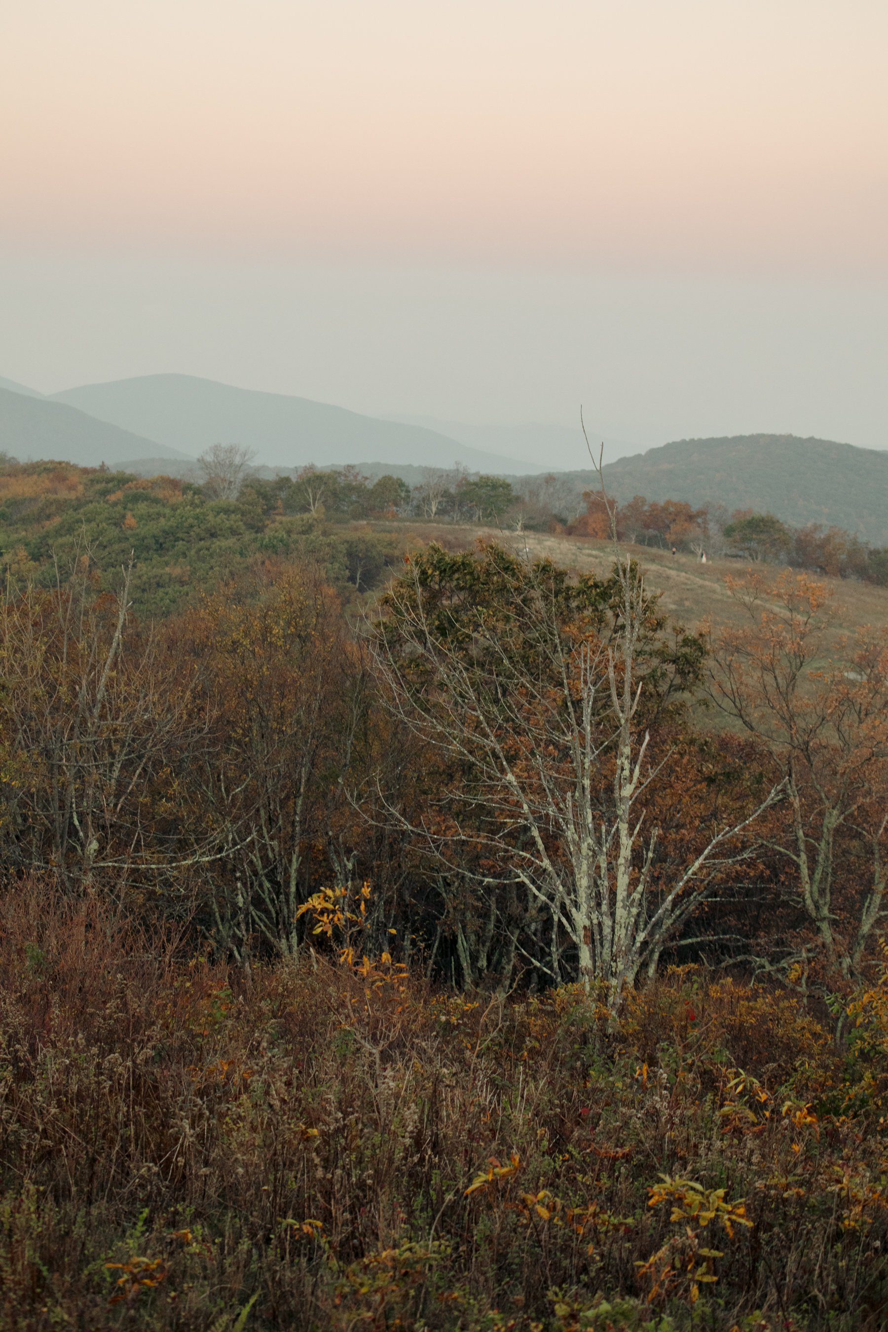 virginia-wedding-mountain-engagement-photo-session-60.jpg