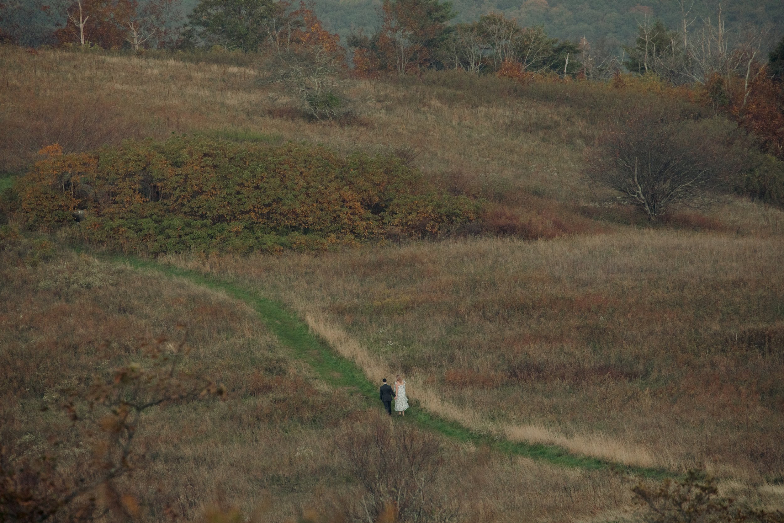 virginia-wedding-mountain-engagement-photo-session-64.jpg