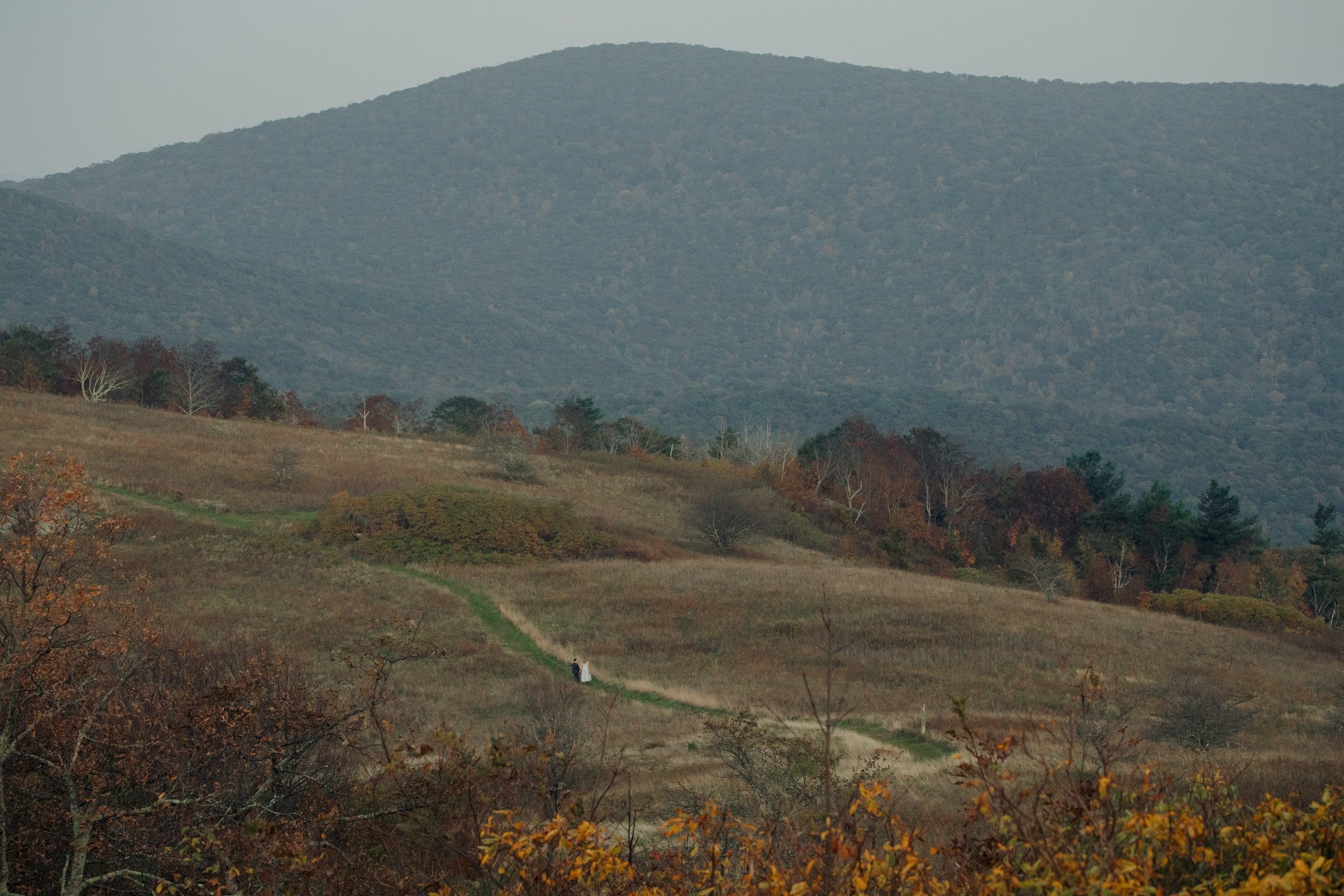 virginia-wedding-mountain-engagement-photo-session-63.jpg