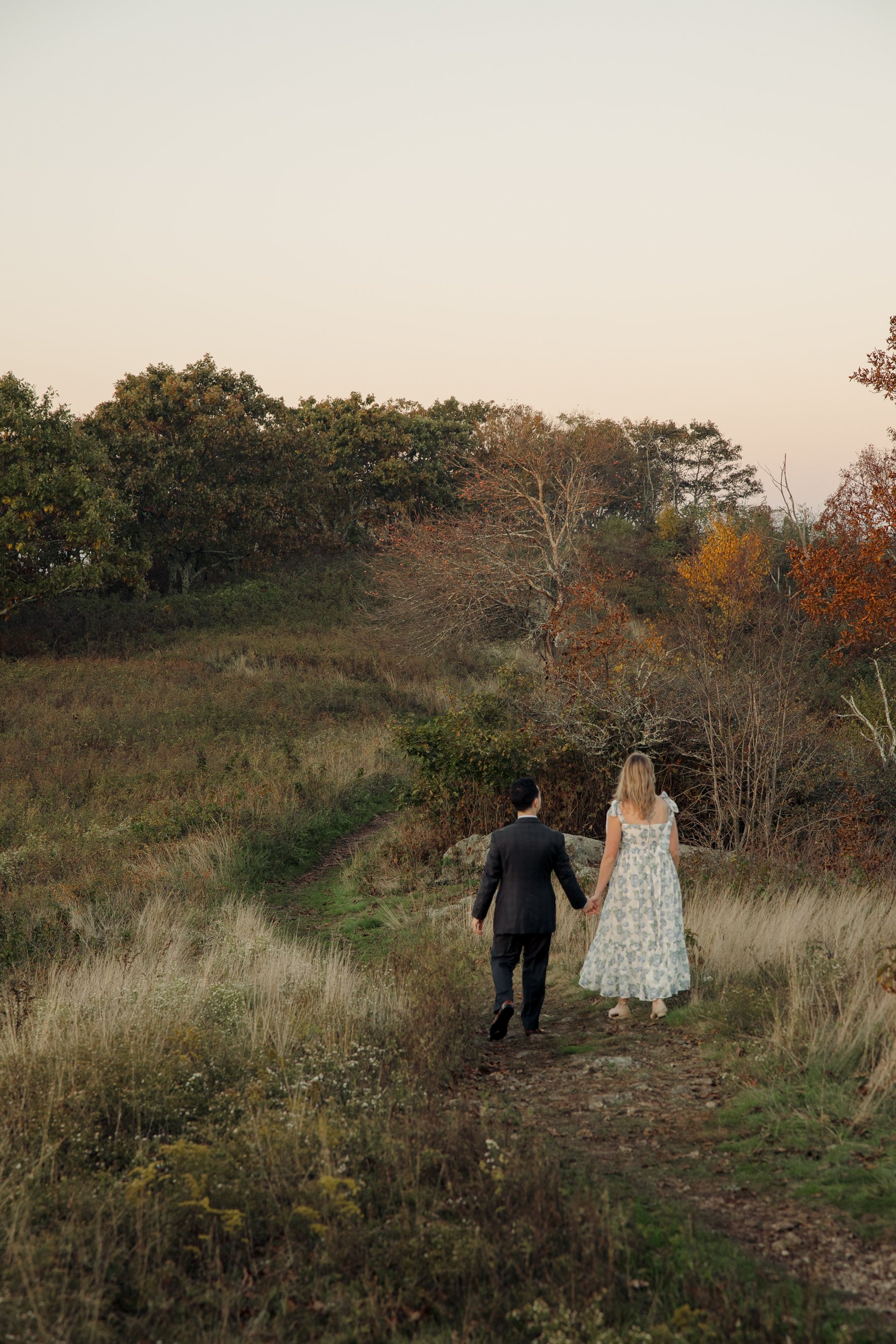 virginia-wedding-mountain-engagement-photo-session-58.jpg