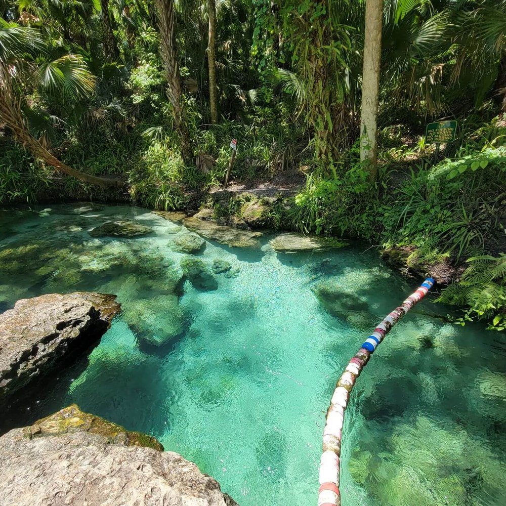 19 Best Springs in Florida in 2023 – Mapped — Finding Hot Springs