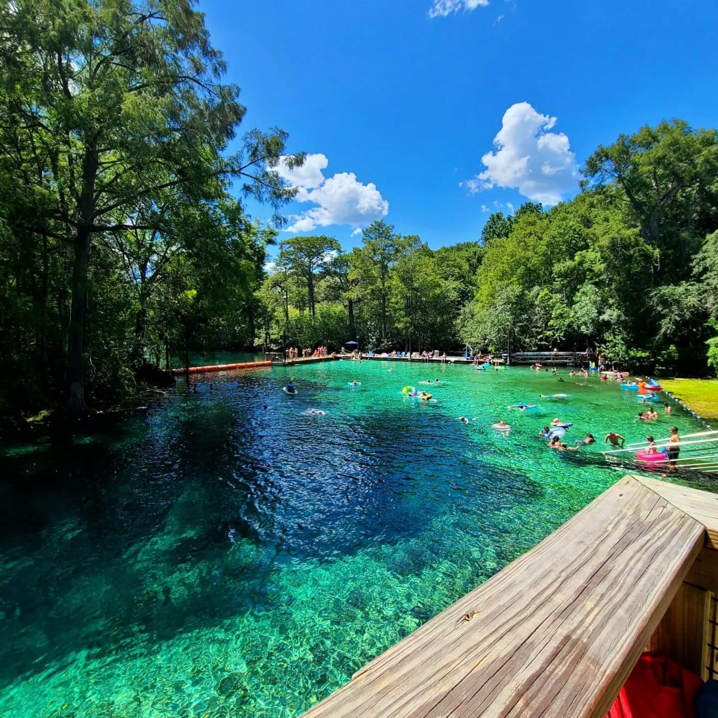 16 Most Beautiful Freshwater Springs in Florida