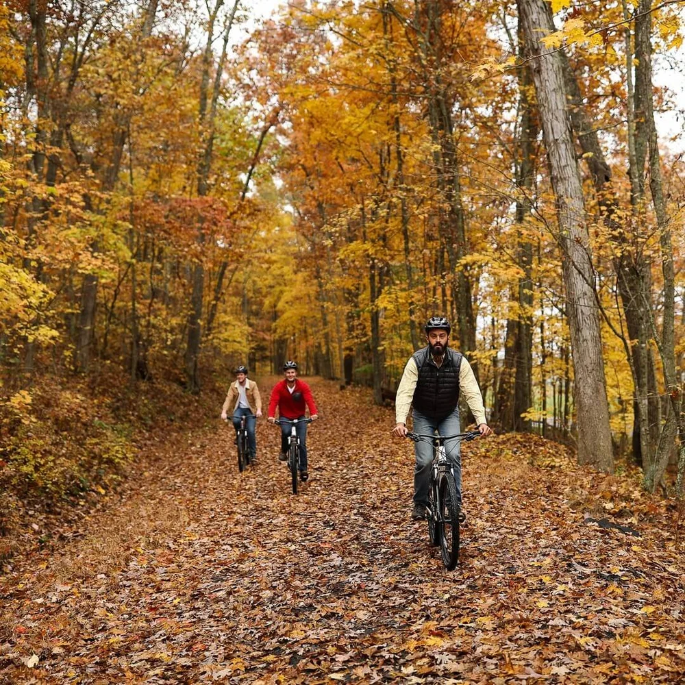 Omni Homestead Resort  5.jpeg