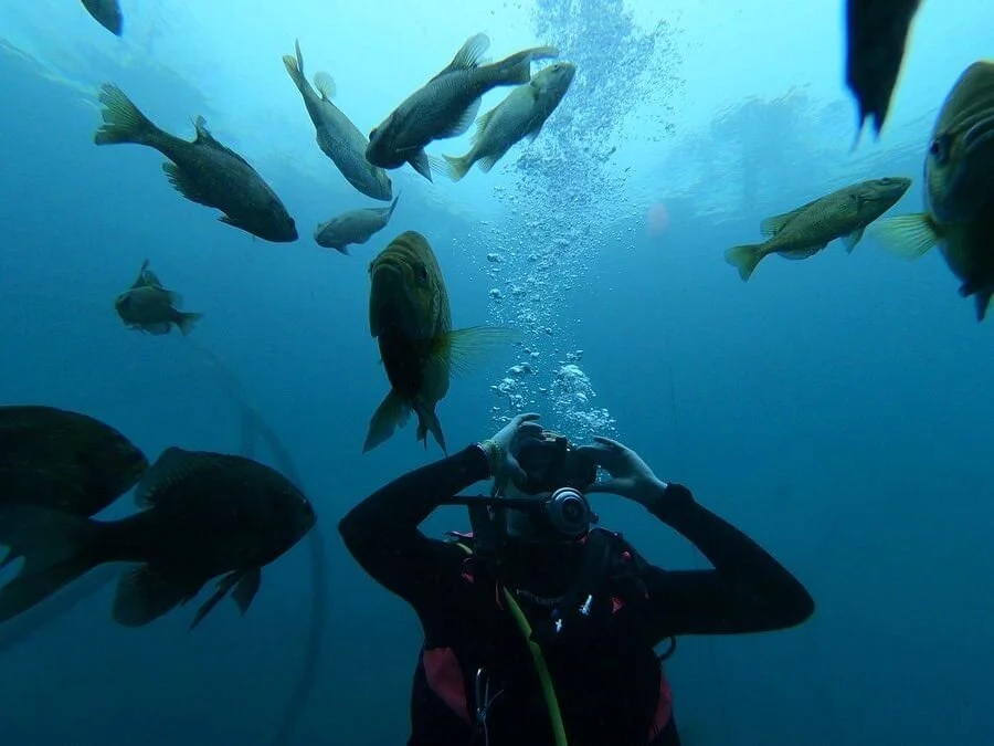 Vortex Spring Updated 2024 Guide