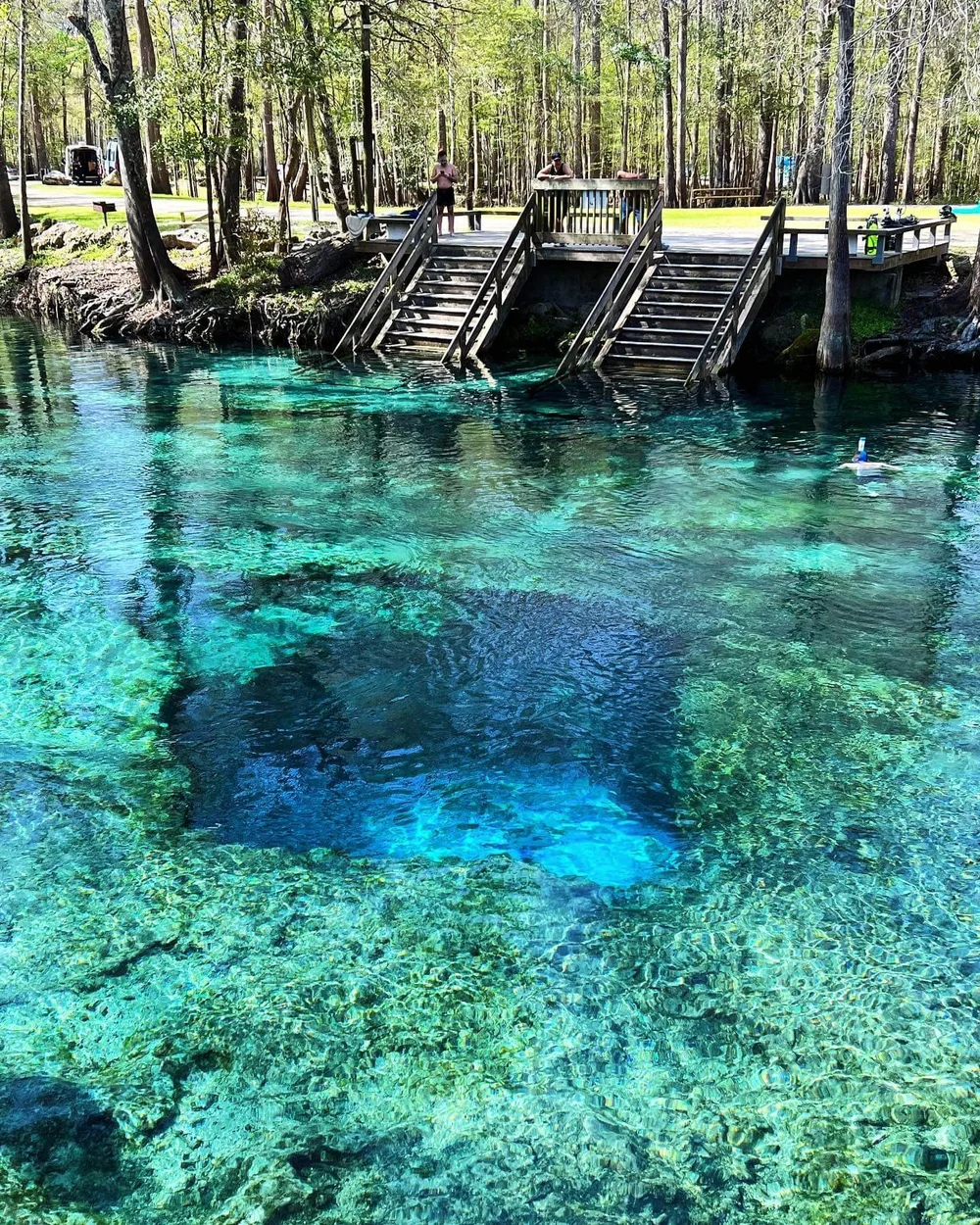 19 Best Springs in Florida in 2023 Mapped — Finding Hot Springs