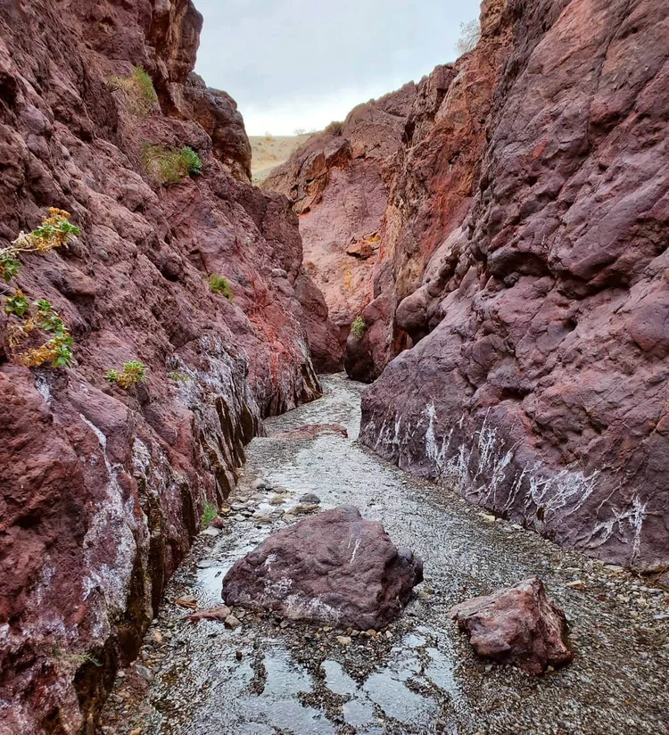 10 Best Hot Springs in Las Vegas Mapped