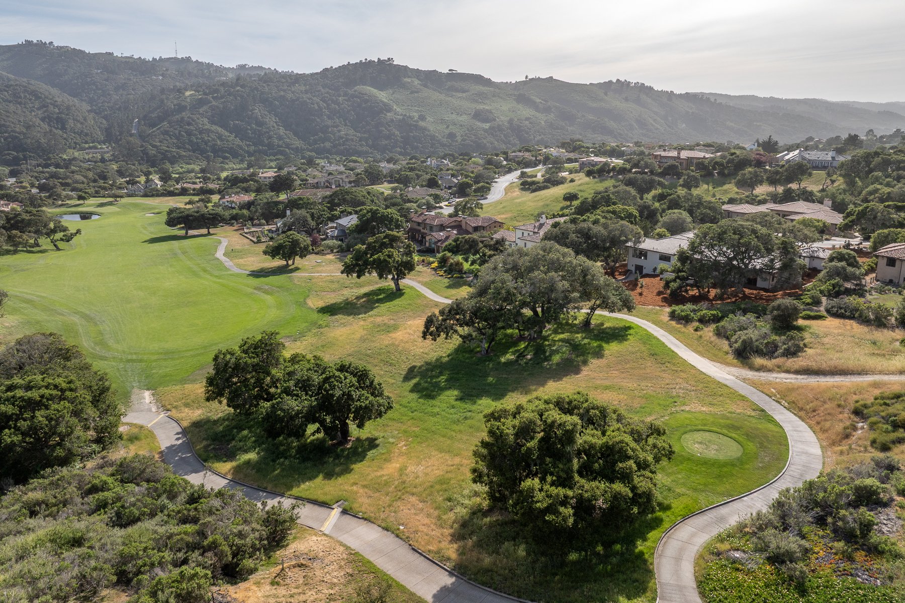 423_Estrella_D_Oro_Ave_066 web.jpg