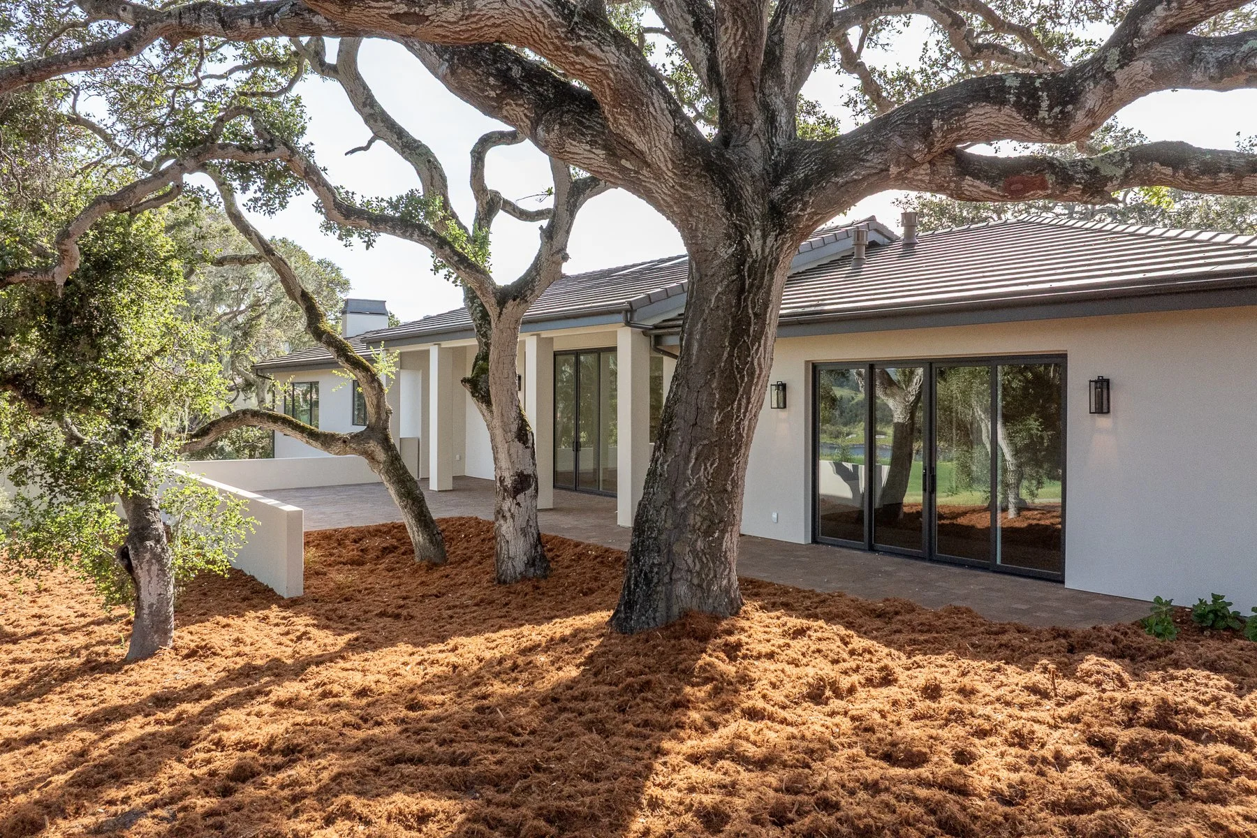 423_Estrella_D_Oro_Ave_062 web.jpg