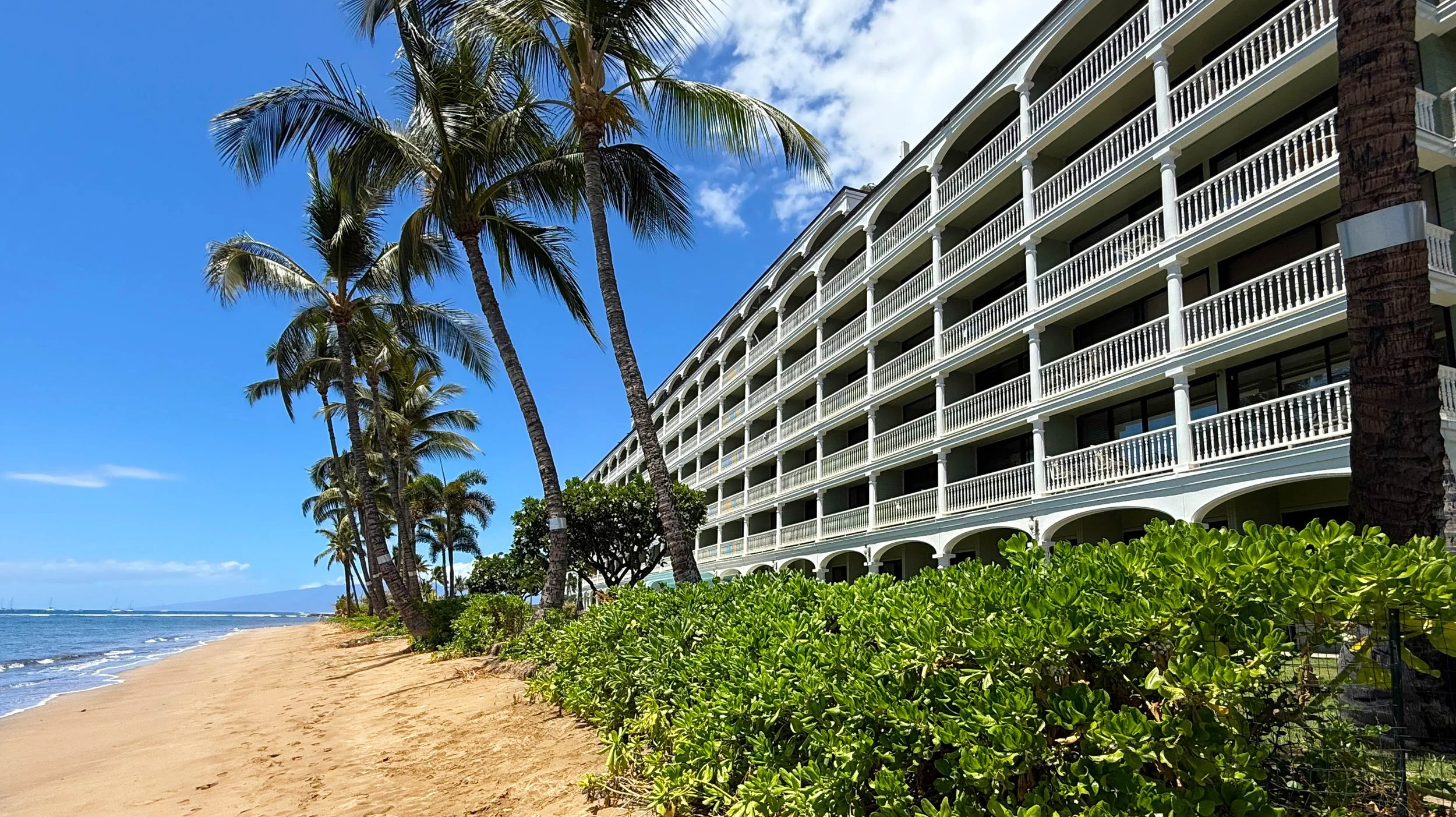 21_LS417_Beach_01.jpg