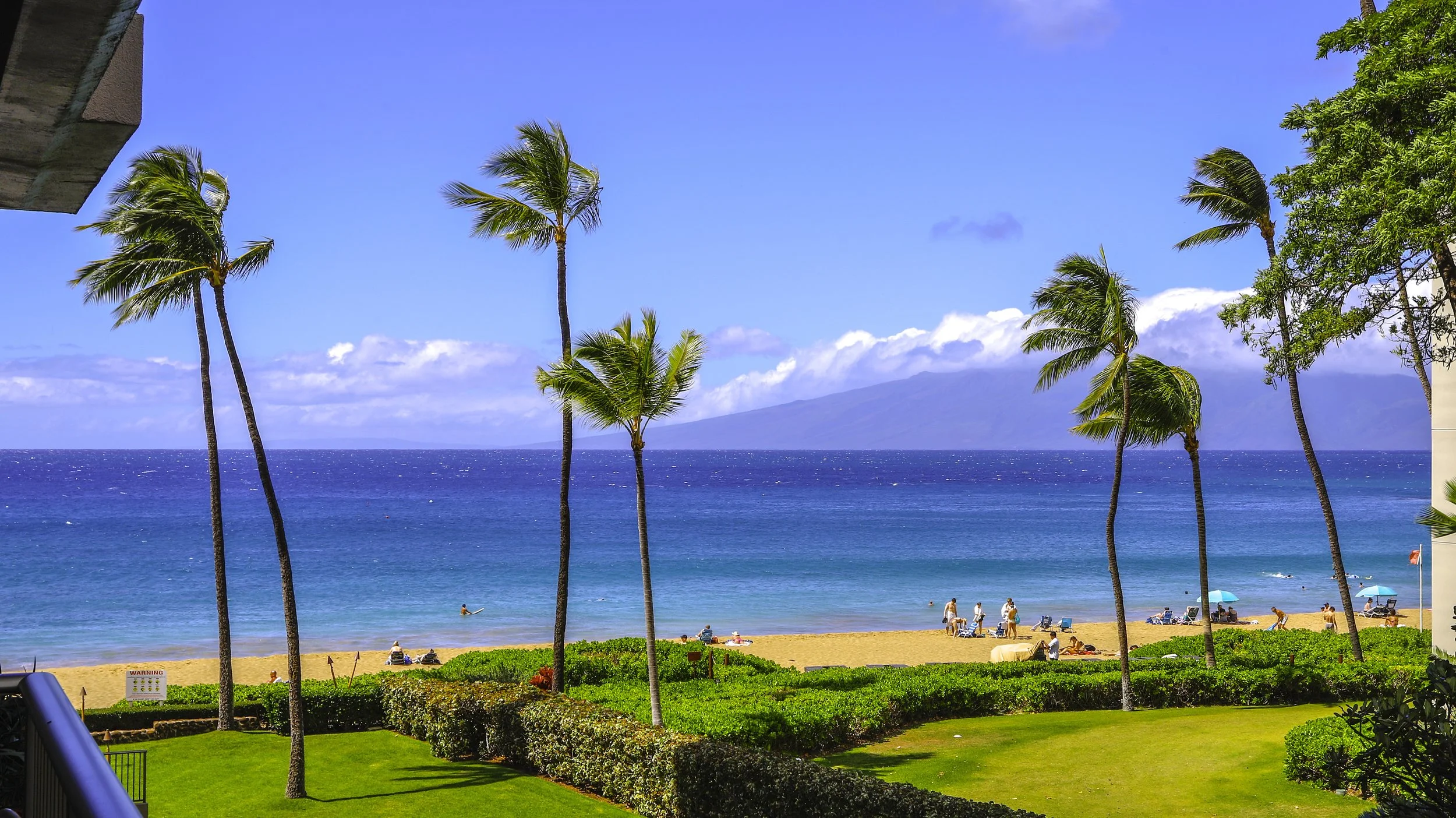 Whaler 316_New Lanai_03.jpg