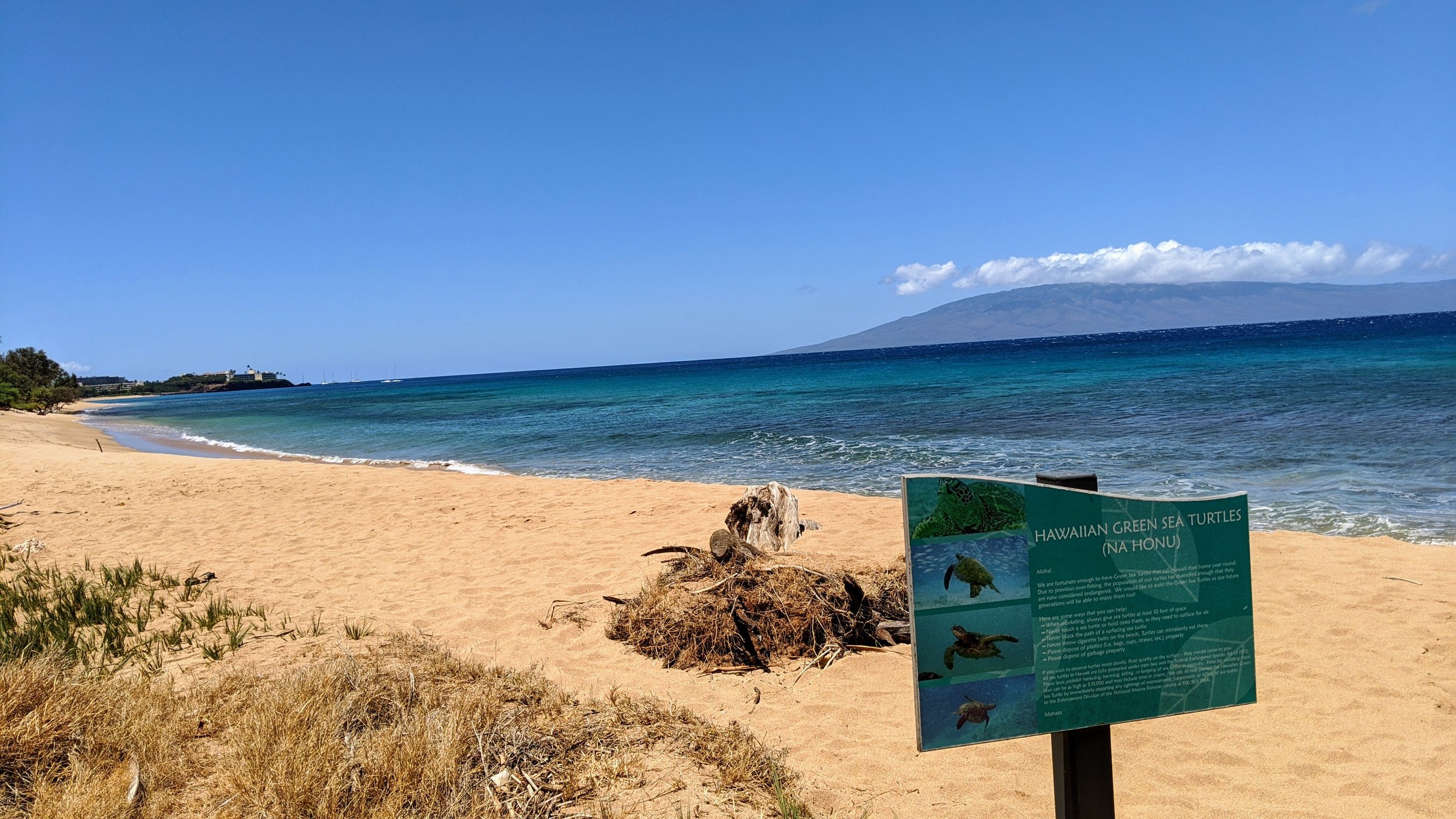 9. Beach.jpg