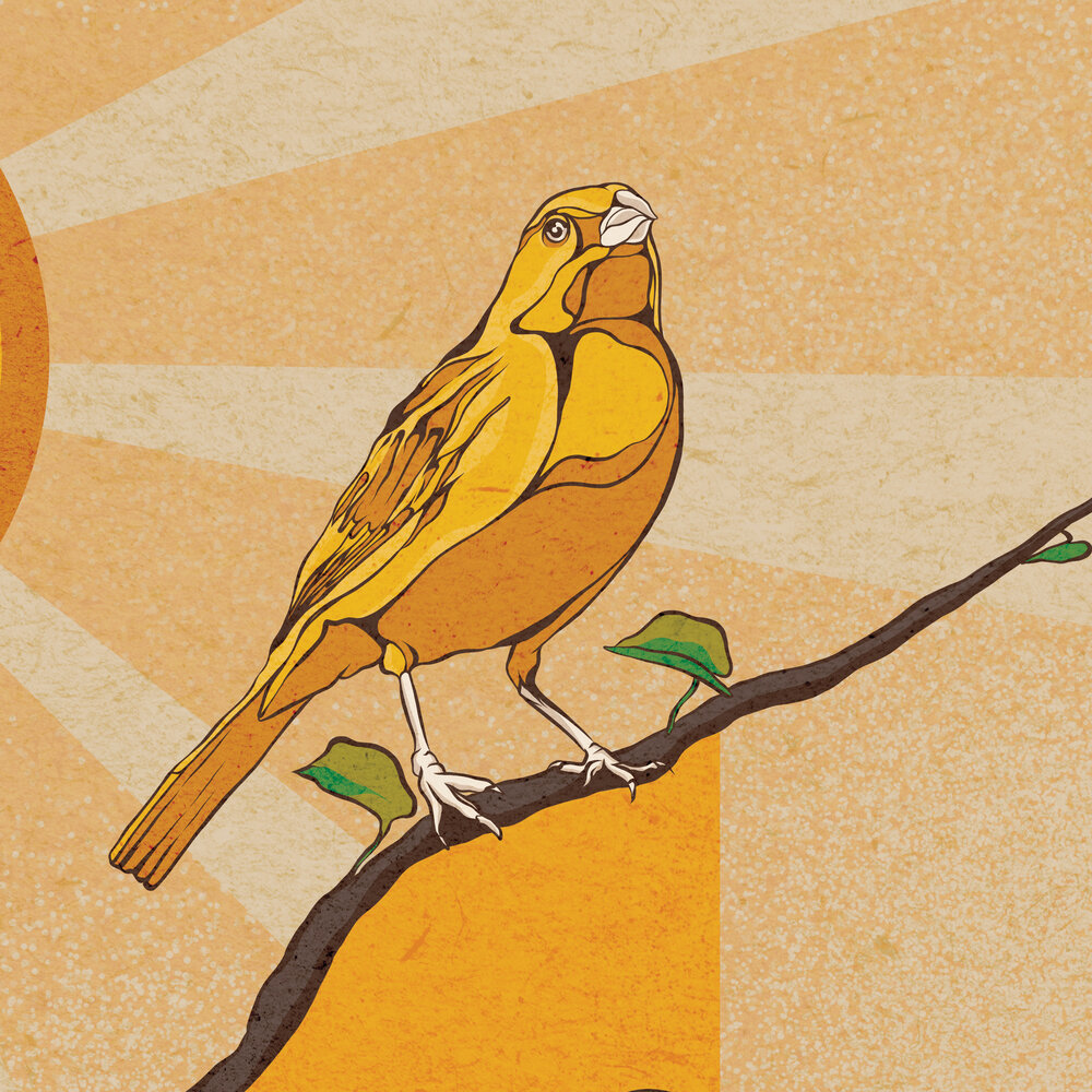 3 Little Birds PRINTABLE Poster Bob Marley Every Little - Denmark