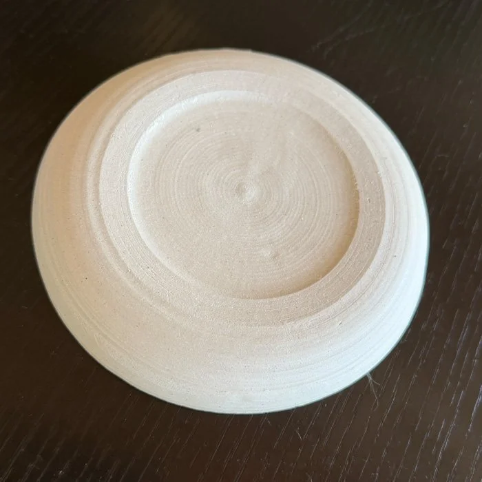 seeing_eye plate_4.jpg