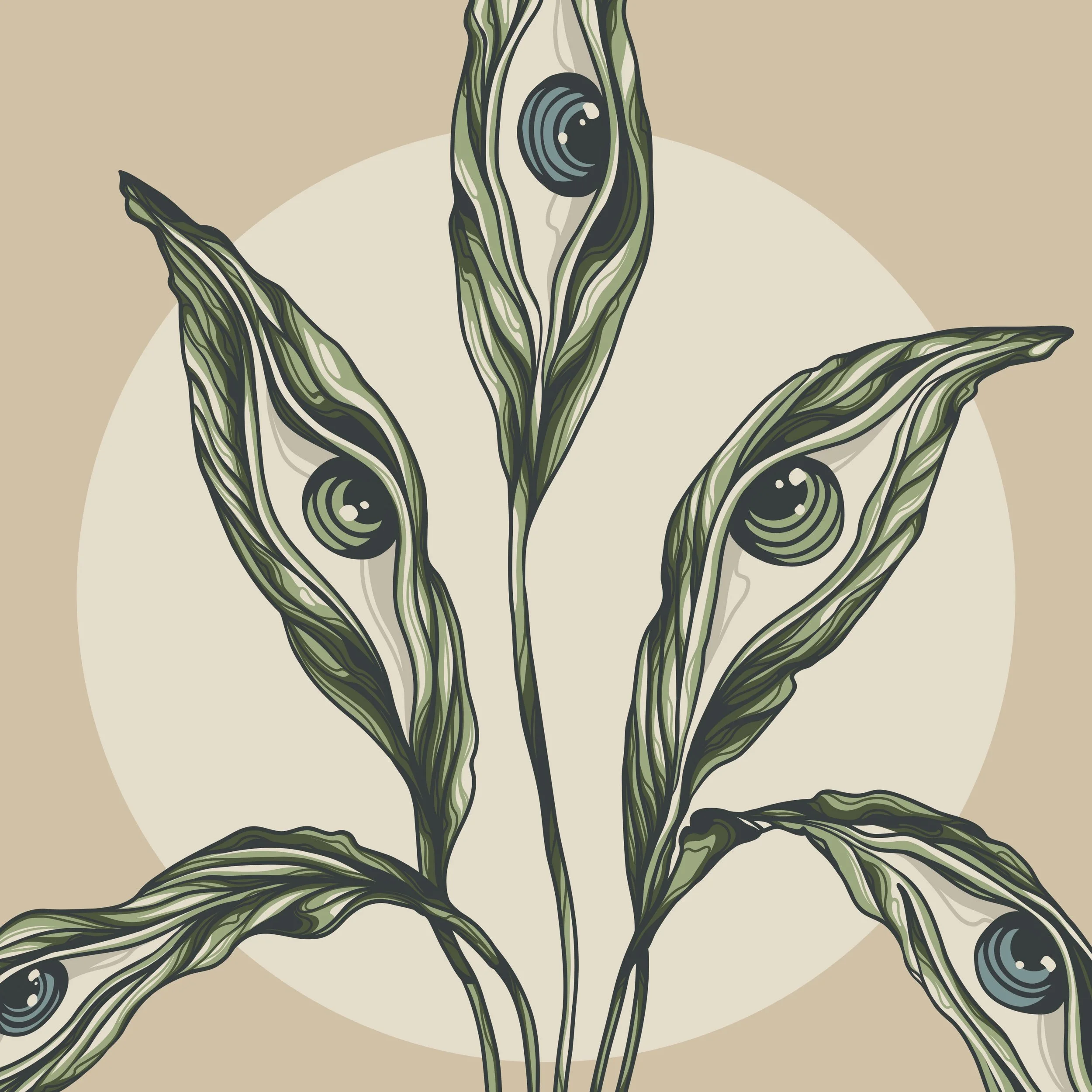 plant_eyes_detail1.jpg