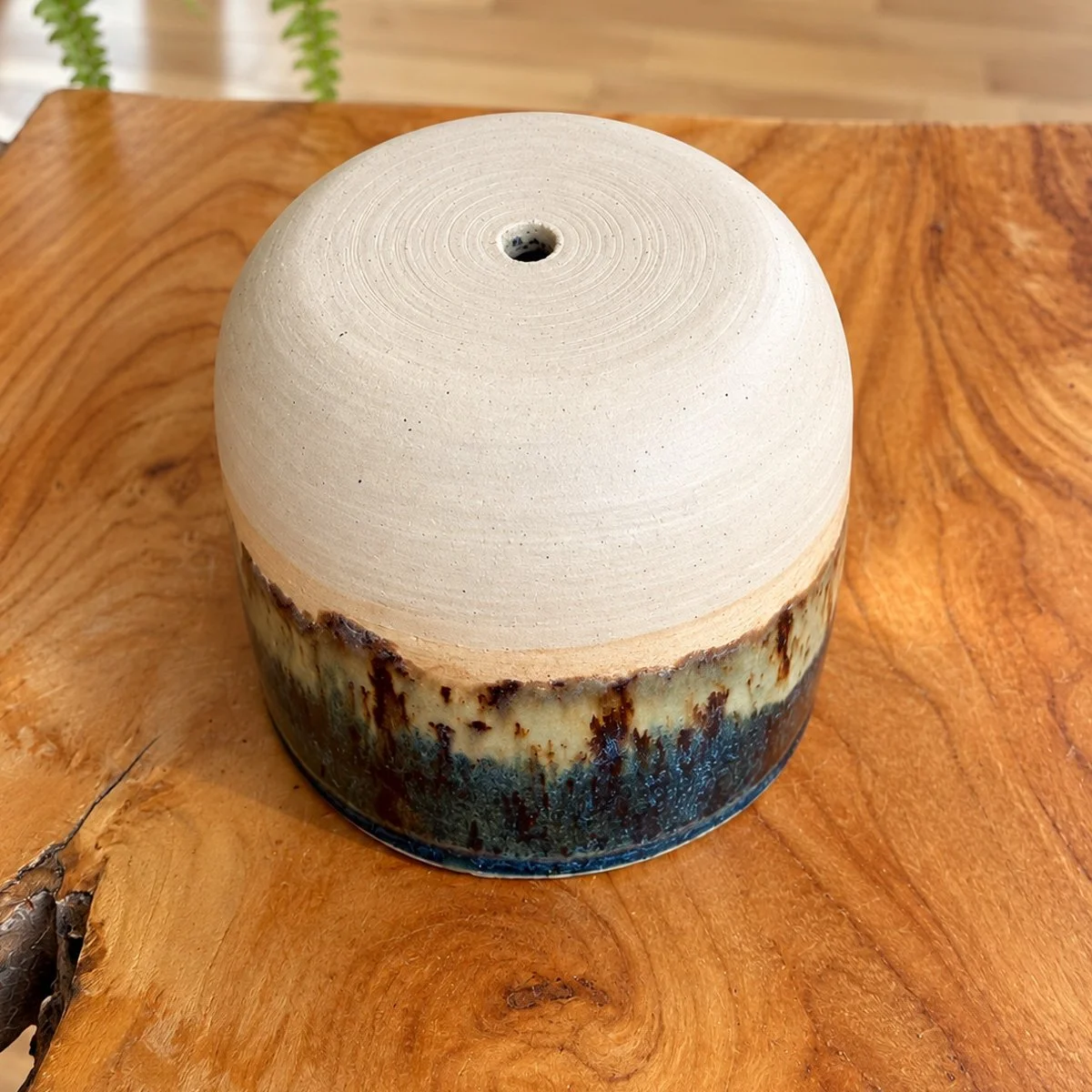 Midnight Drip Ceramic Planter_6.jpg