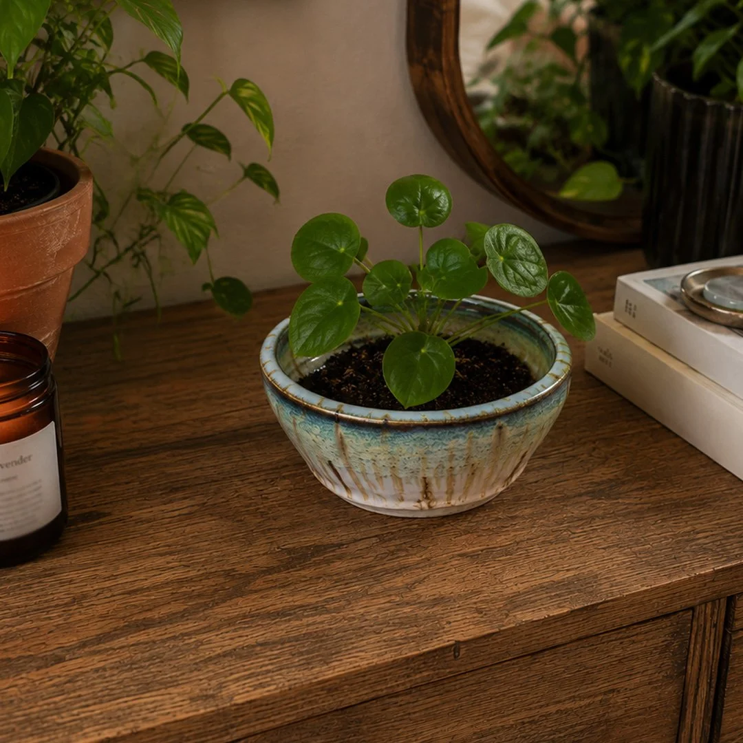 earth_tide_bowl_3.jpg
