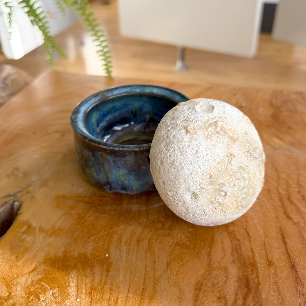 new_moon_jar_19.jpg
