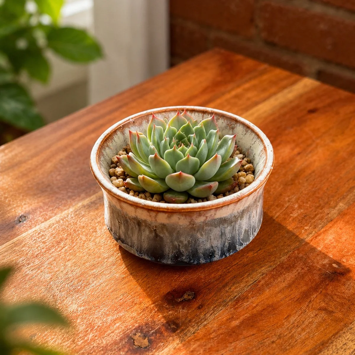 hearth_dish_5.jpg