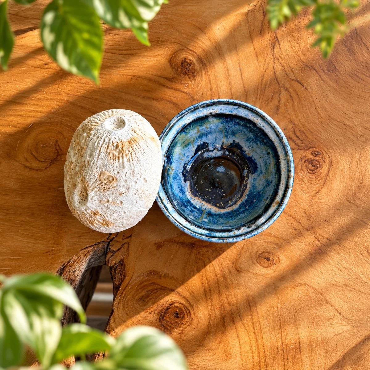 new_moon_jar_20.jpg