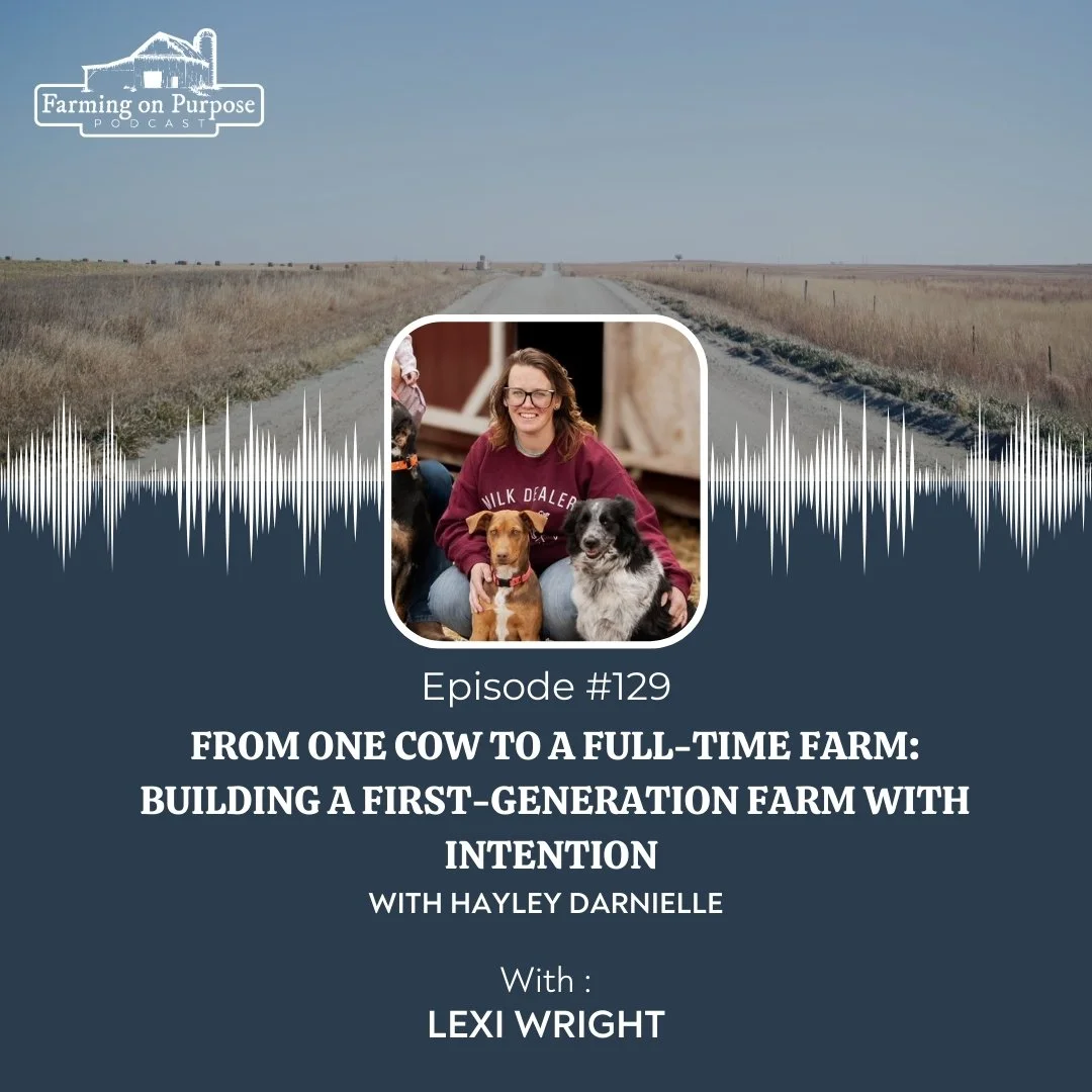 #129: From One Cow to a Full-Time Farm: Building a First-Generation Farm with Intention&nbsp;