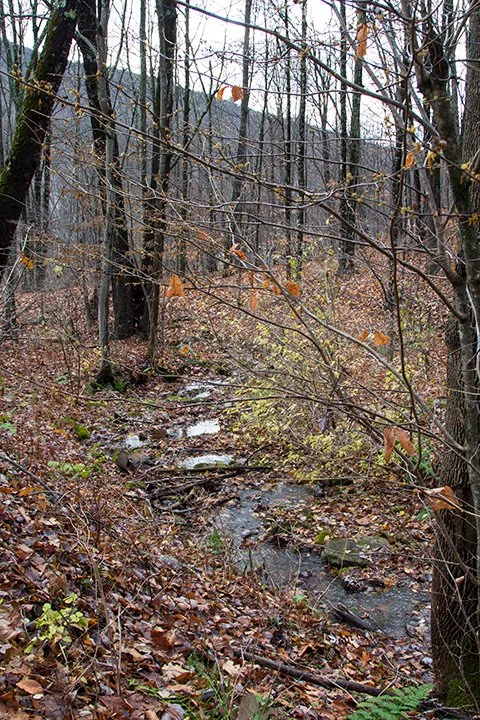 crimsoncatskills_projectgallery2_kellycreekbefore.jpg