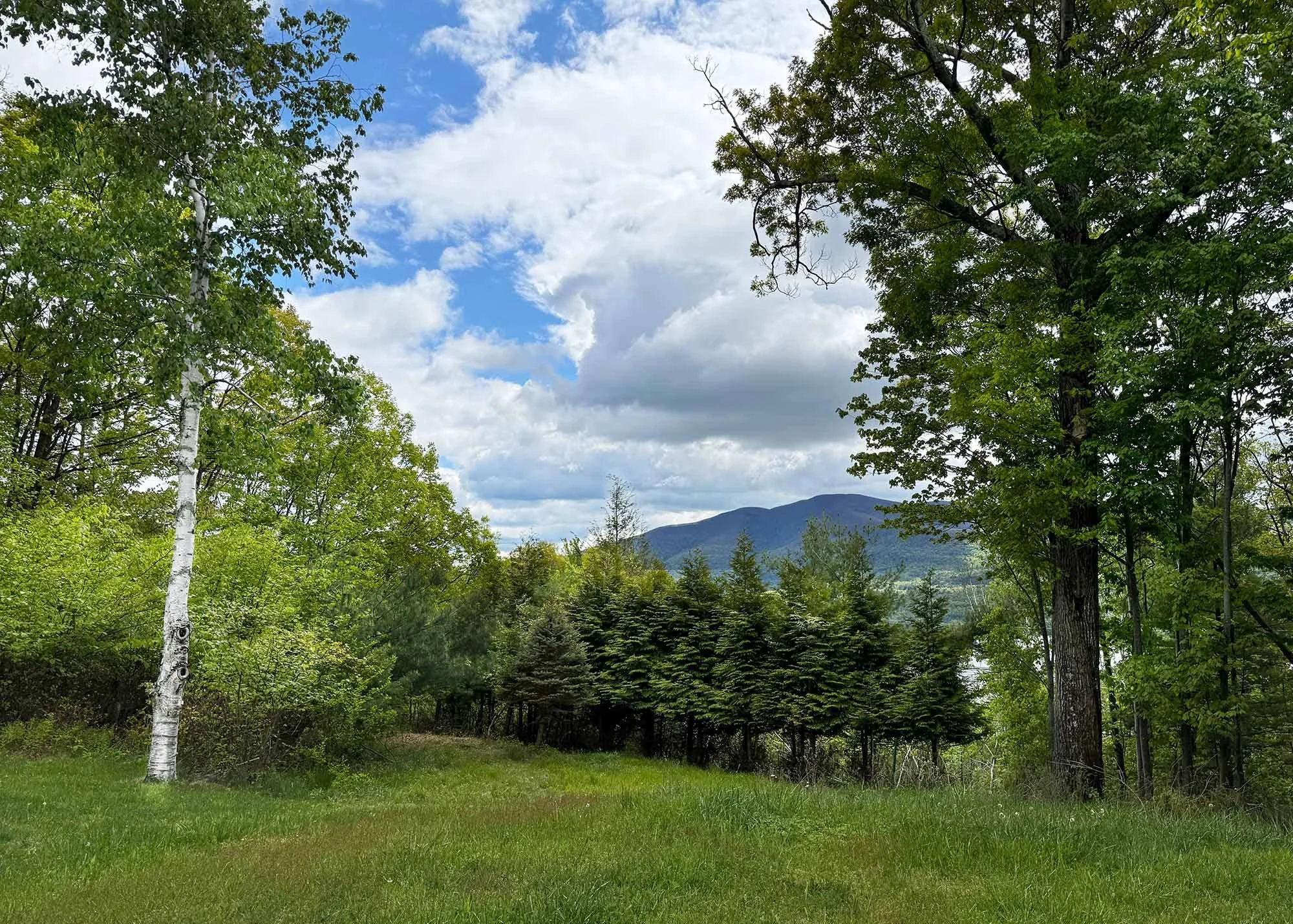 Stylish-mountain-house-reservoir-views-Summer-backyard.jpg