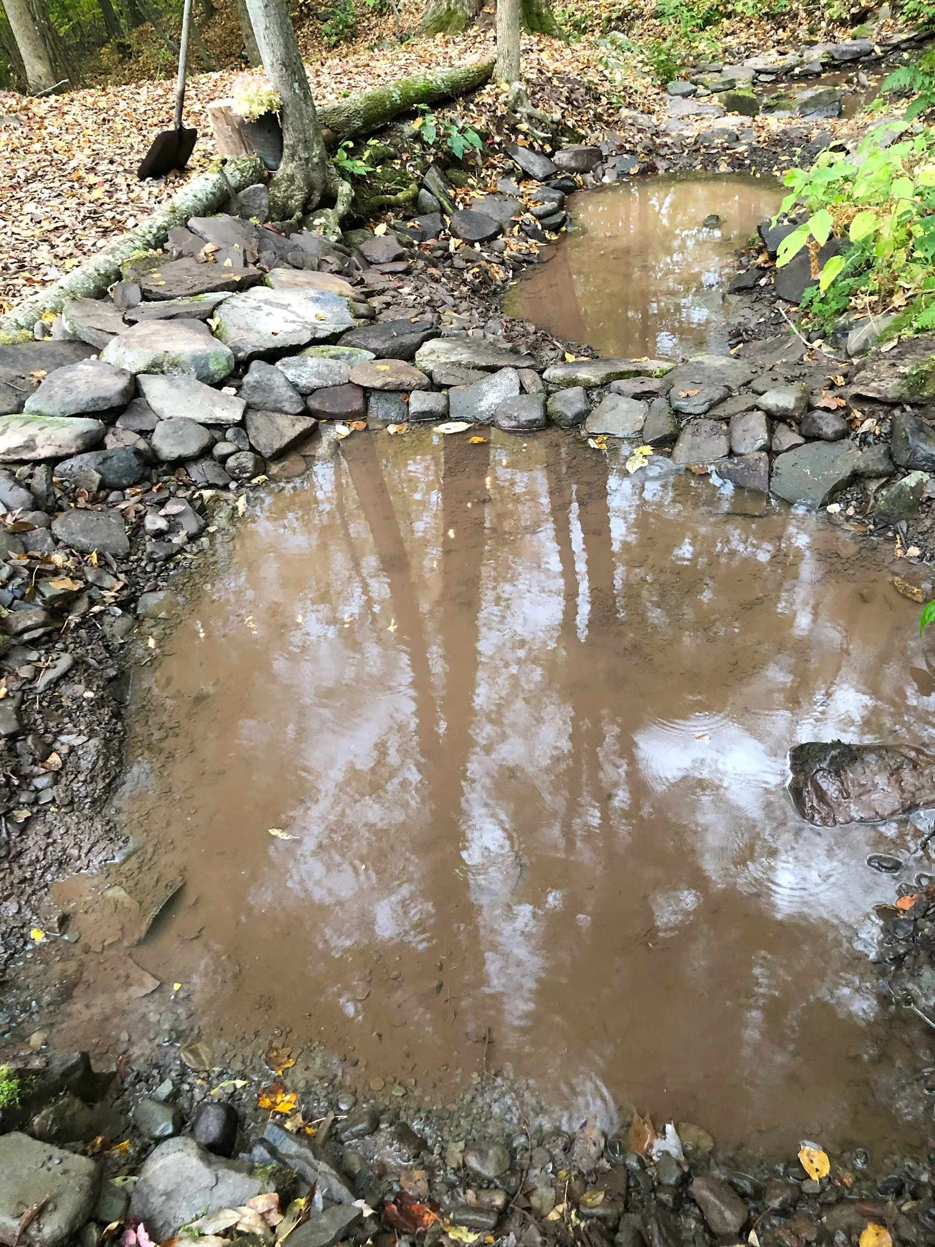 crimsoncatskills_projectgallery2_kellypondskv.jpg