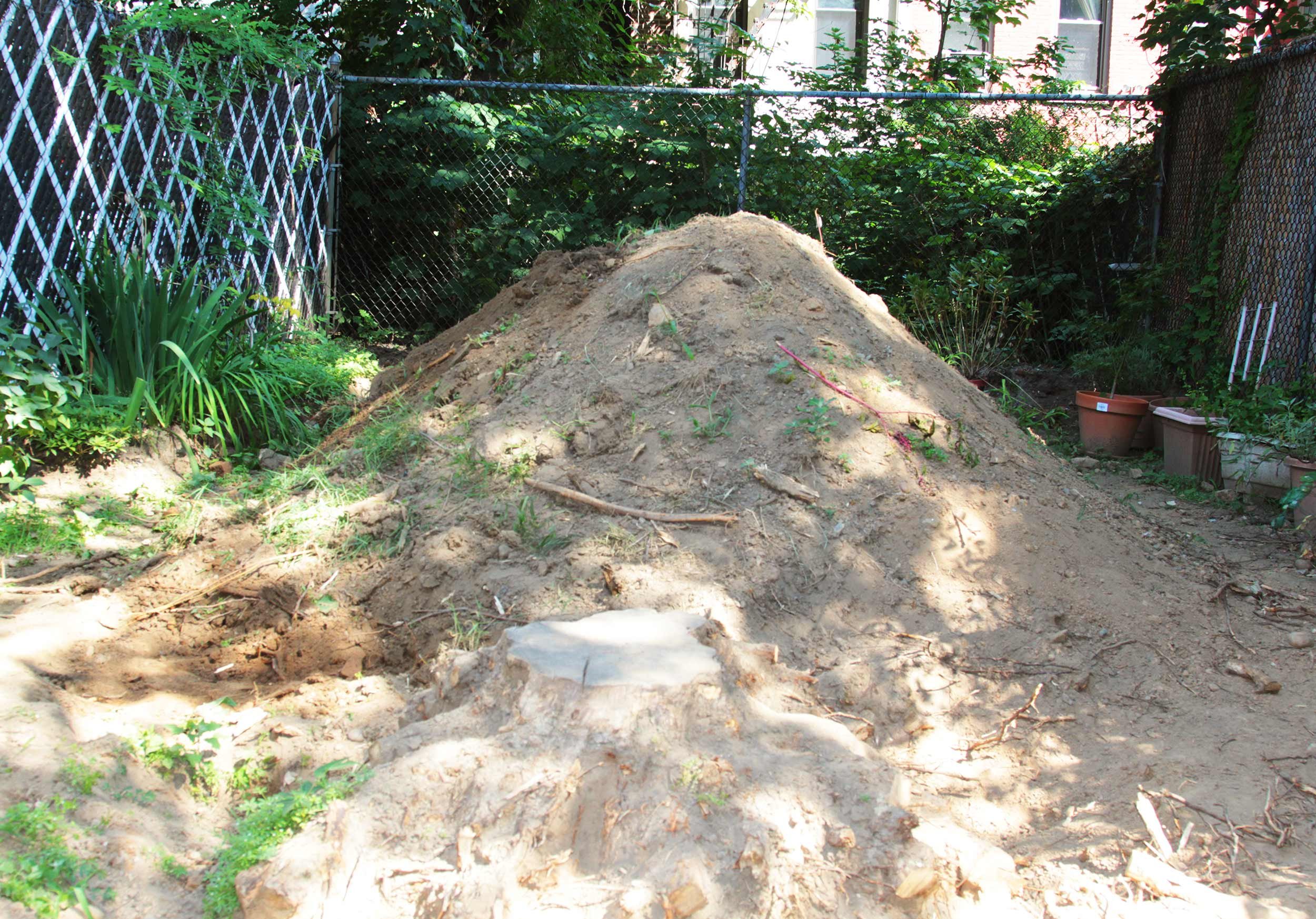yard-with-dirt.jpg