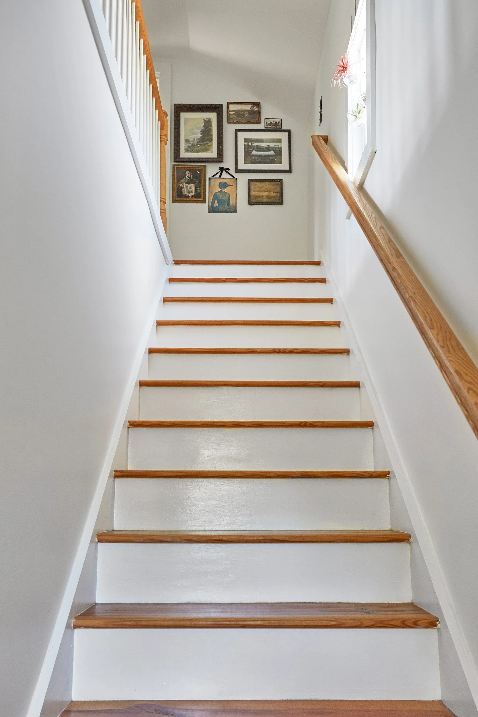 crimsonprojectgallery1_libhall_1.jpg