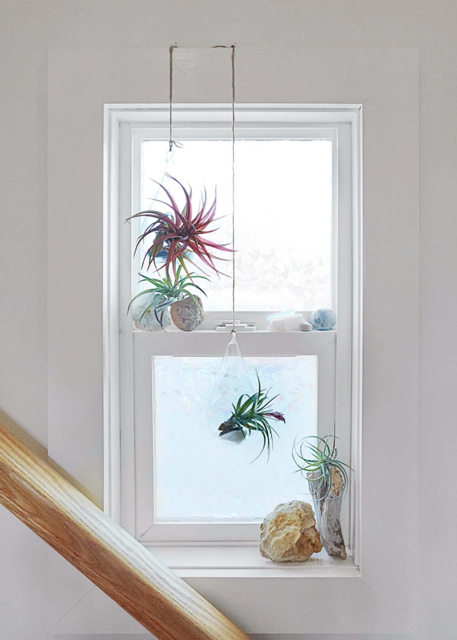hudson-valley-design-lovers-retreat-airplants.jpg