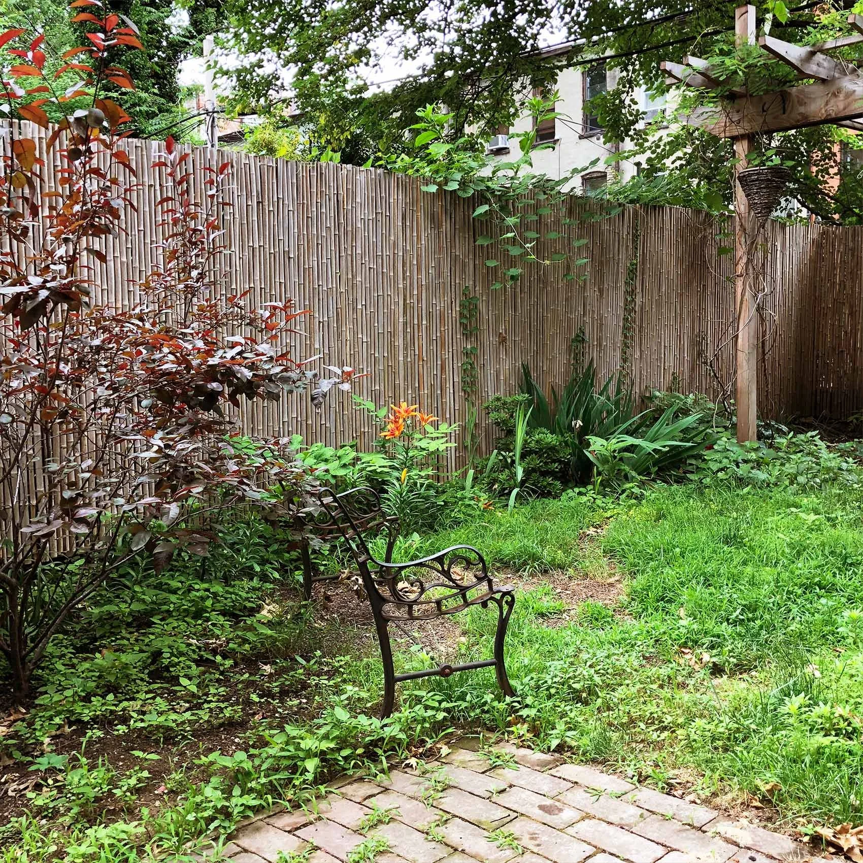 backyardsummerleft.jpg